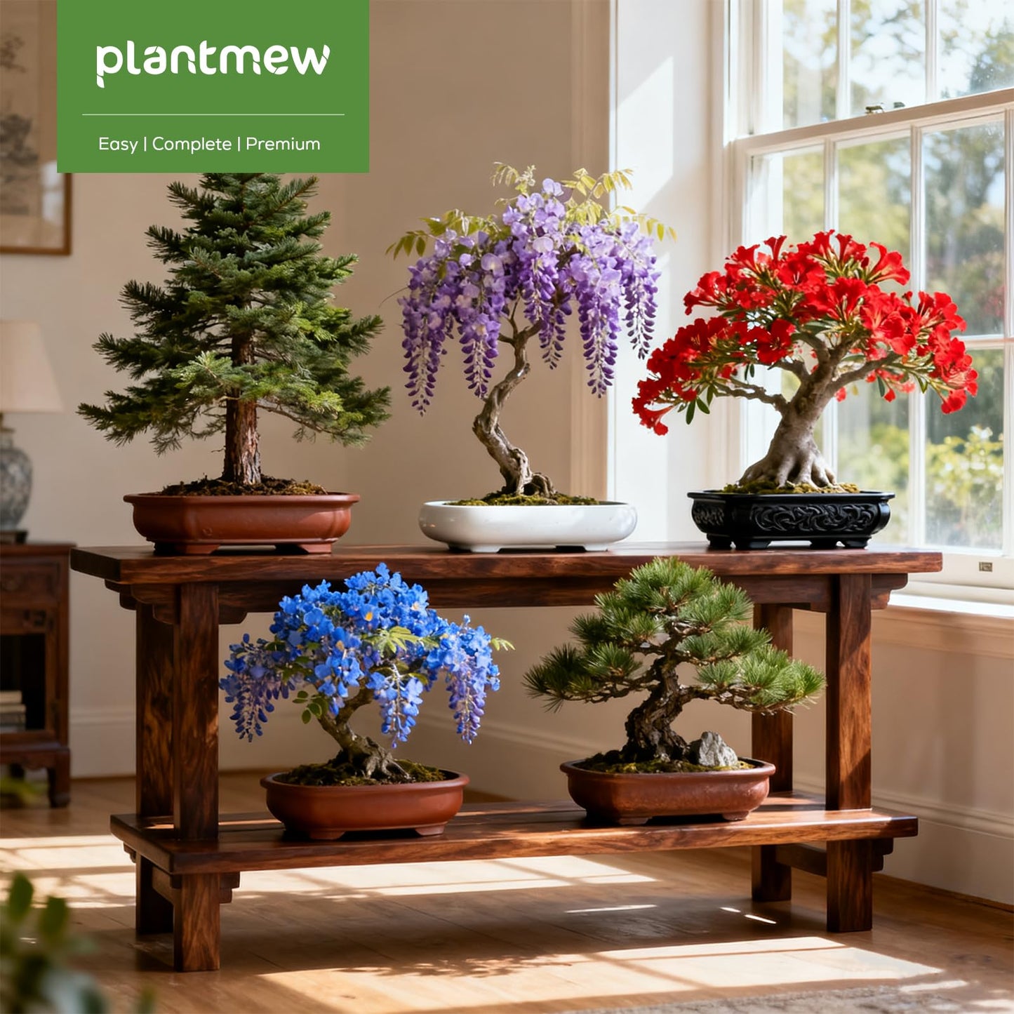 Bonsai Starter Kit for Adults β Complete Indoor Tree Growing Set with Jacaranda Seeds, Tools & Planter | DIY Gardening Hobby Kits for Plant Lovers, Unique Easter Gifts for Men & Women
