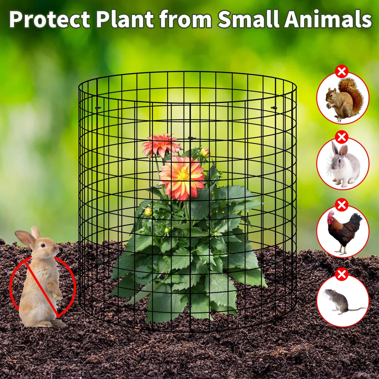 30Pcs Plant Protector from Animals, 10 Pack Metal Wire Plant Cages for Garden, 13" H x 16" D Plant Protection Cage with Ground Stakes for Tomatoes, Vegetables, Flowers Rabbit & Squirrel Barrier