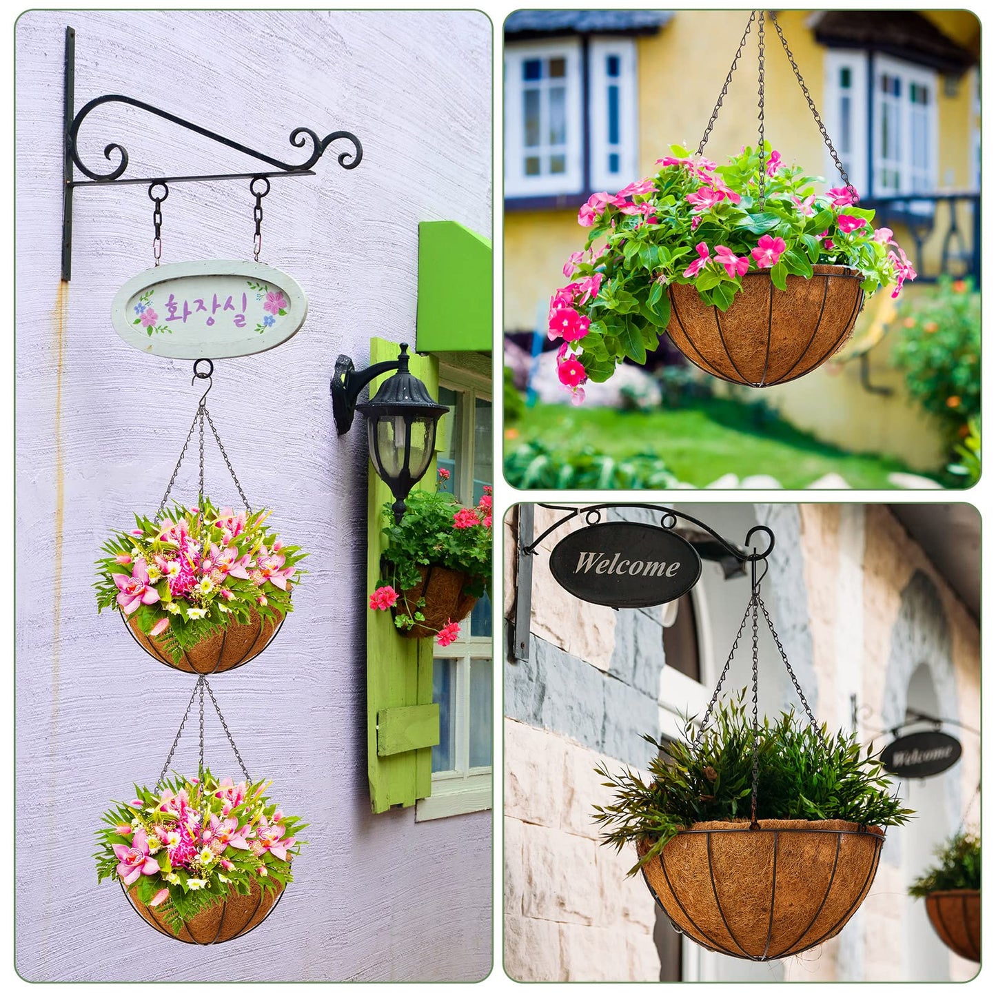 Rtteri 8 Pcs 8 Inch Hanging Baskets for Plants Outdoor with Metal Wire Frame and Coconut Coir Liners, Round Wire Hanging Baskets with Chain for Patio Garden Porch Decoration