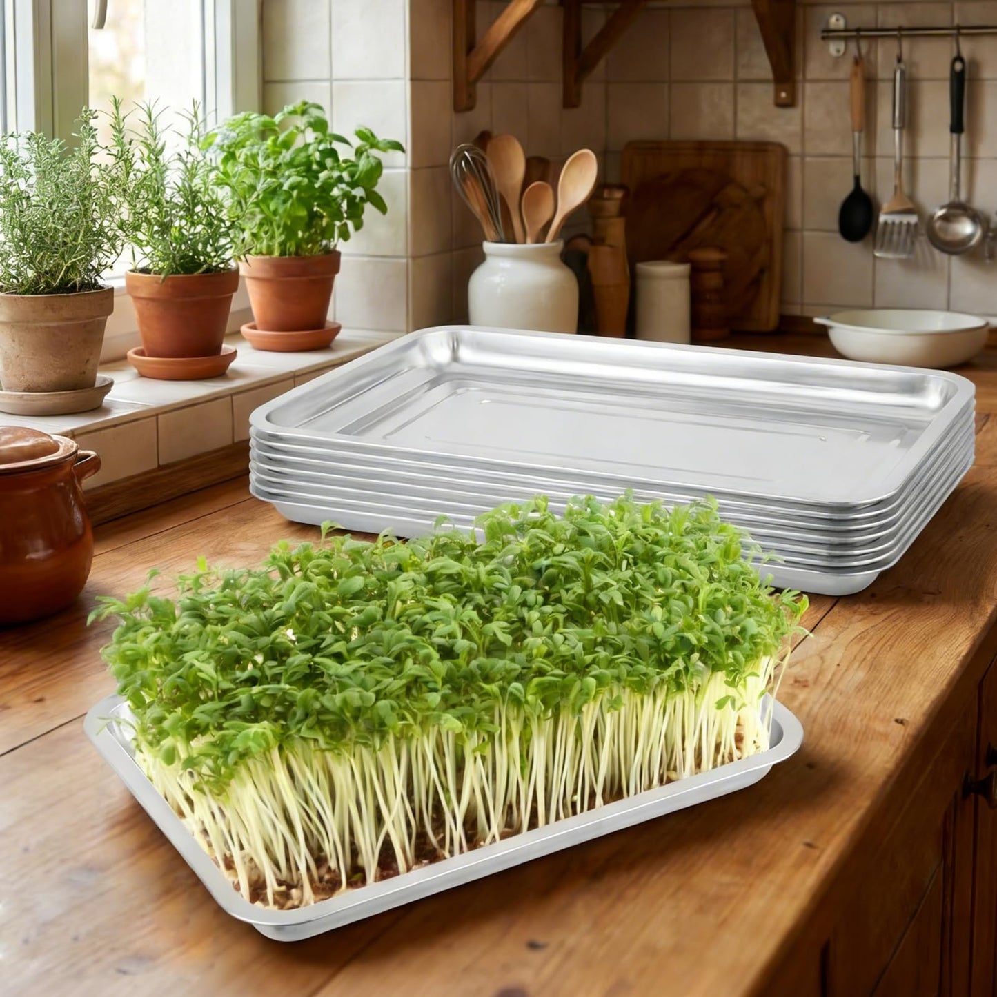 7 Pack Plant Germination Trays, Stainless Steel Plant Trays Metal Trays Stainless Steel Seed Starter Carry Trays Nursery Seedling Pots Water Collection Transplantation for Indoor Germination Sprouts