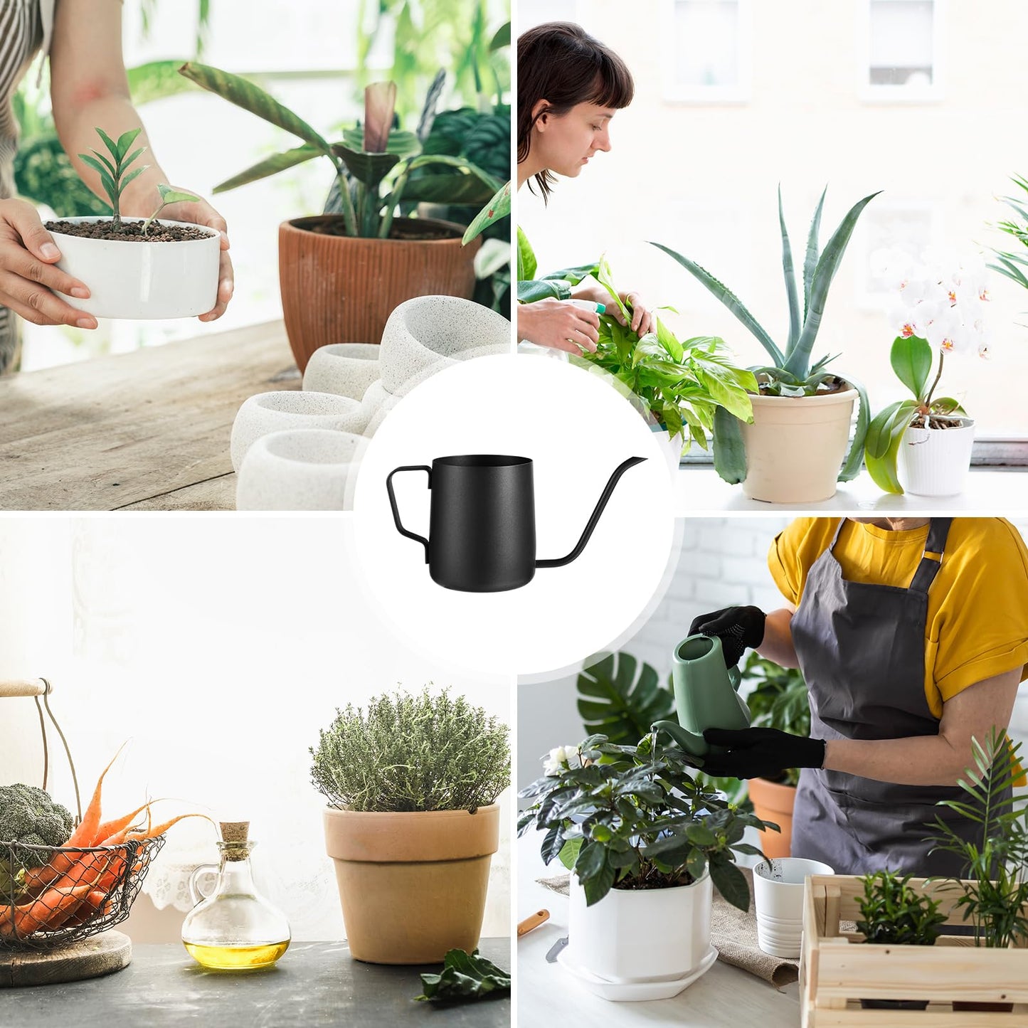 Plant Watering Can, 12 oz / 350 ml Stainless Steel Plant Watering Pot Small Watering Can with Long Spout for Indoor House Plants Flower Bonsai Outdoor Garden