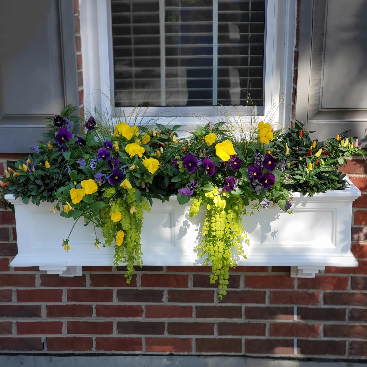 Step2 Atherton 24" x 39" x 19.5" Self-Watering Planter Box Bundle with Mayne Fairfield 4ft Window Box