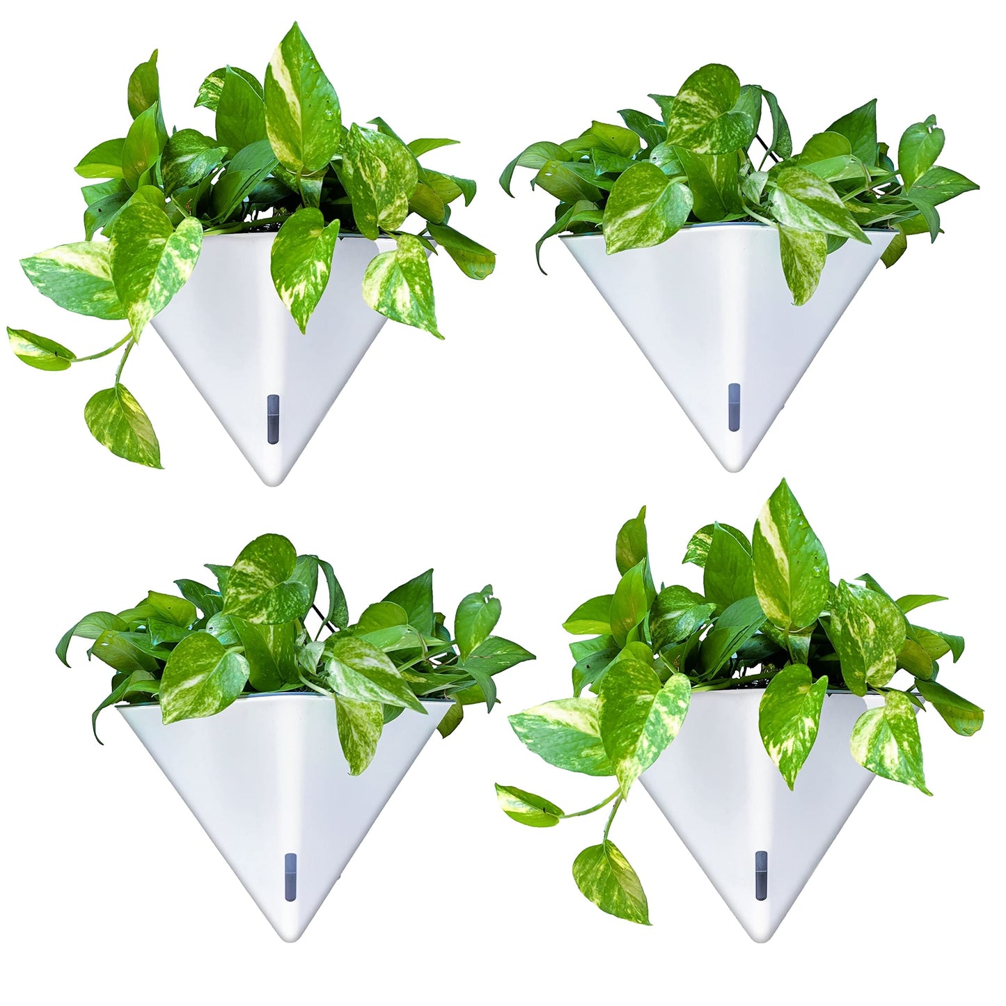 LaLaGreen Bundle - 12" x 2 Pack Black + 12" x 4 Pack White Large Self Watering Geometric Hanging Flower Vase Vessel with Metal Hanger, Modern Stylish Wall Mounted Succulent Pot Holder Decor