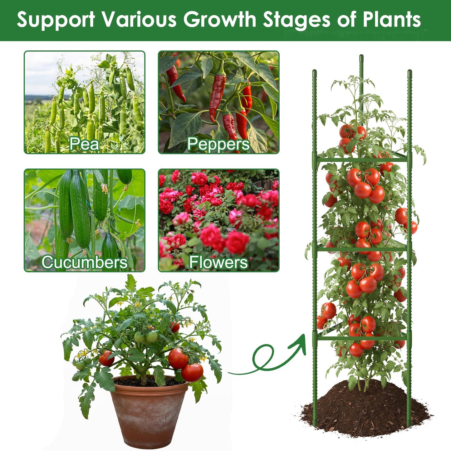 CEWOR Tomato Cage - 6 Pack Tomato Cages for Garden, 51.2inch Tall Tomato Trellis Triangle Stakes for Climbing Plants Outdoor, Plant Cages Structure for Pots, Raised Garden Bed, Vegetables