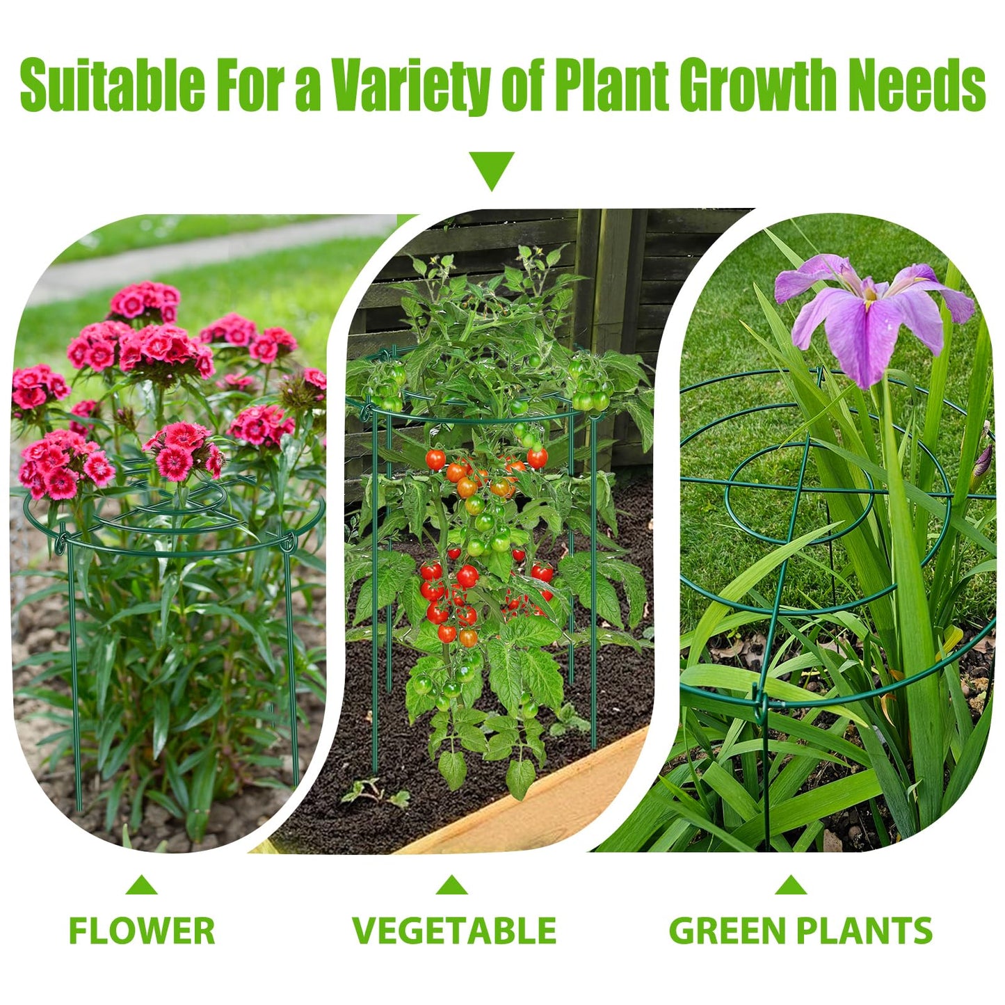 4 Pack Peony Cages and Supports, 14" Dx24 H Plant Supports for Outdoor Plants, Heavy Duty Metal Peony Support Cage Flower Support Rings, Plant Support Ring for Rose Tomato Hydrangea Strawberry