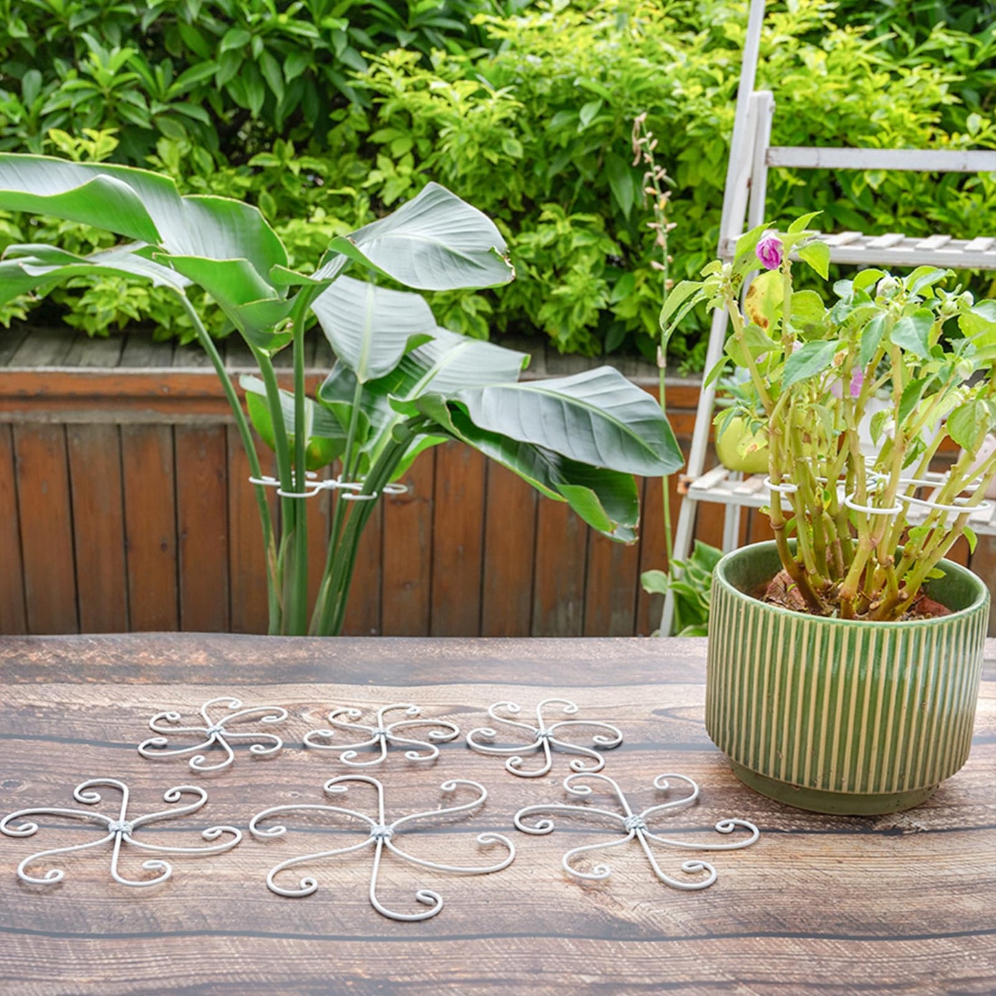 YOHSNOR 5PCS Monstera Plant Support Hook - 5.5x5.5 inch Premium Indoor Stem Stabilizer for Monstera & Fishbone Cactus, Durable,Easy Installation, Gentle Protection for Healthy Plant Growth