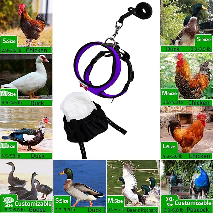 Adjustable Chicken Harness Diaper (5.4ft Leash) β Breathable & Washable Secure Training for Hens, Ducks & Chicks | Outdoor Walking & Discipline Solution (Small, Purple)
