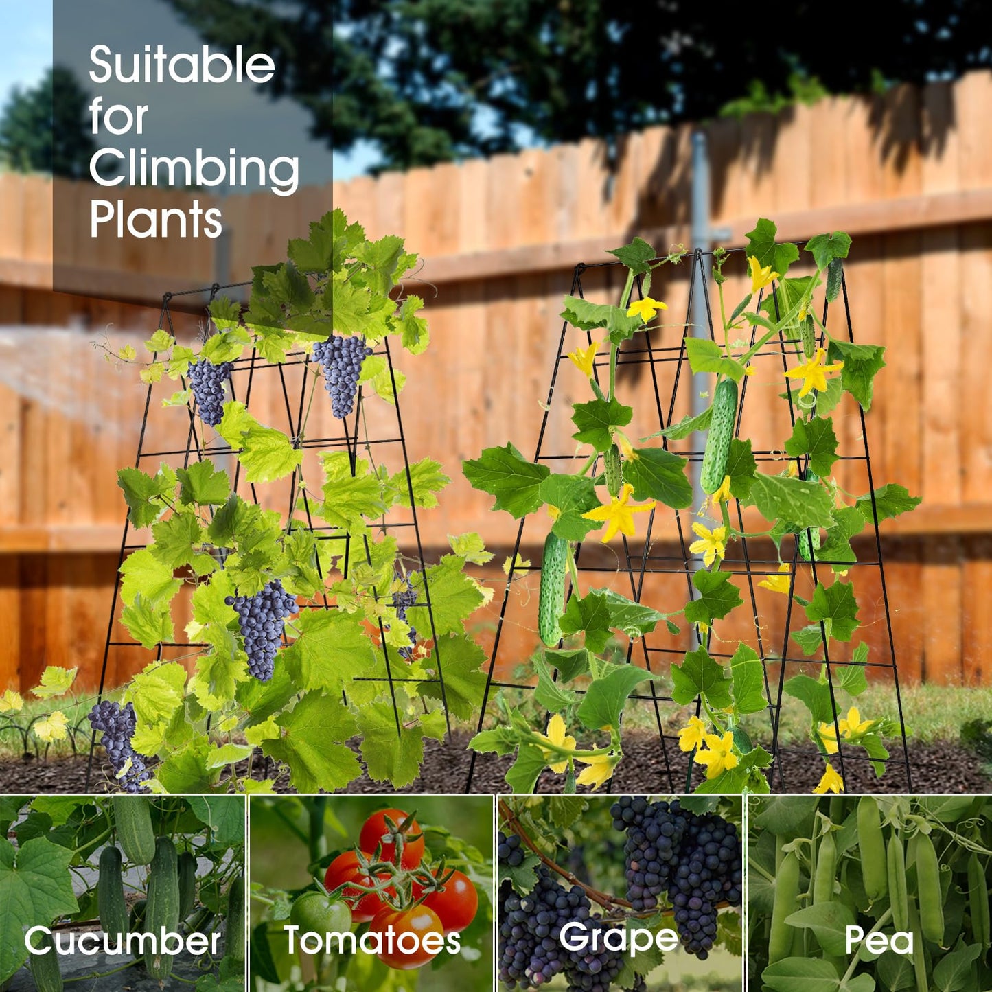 Cucumber Trellis for Raised Bed, Rifny 16.5 x 40 Inch Metal Trellis for Climbing Plants Outdoor with Plant Clips Twist Ties, Garden Plant A-Frame Trellis for Vegetable Pea Tomato (Black, 2 PCS)