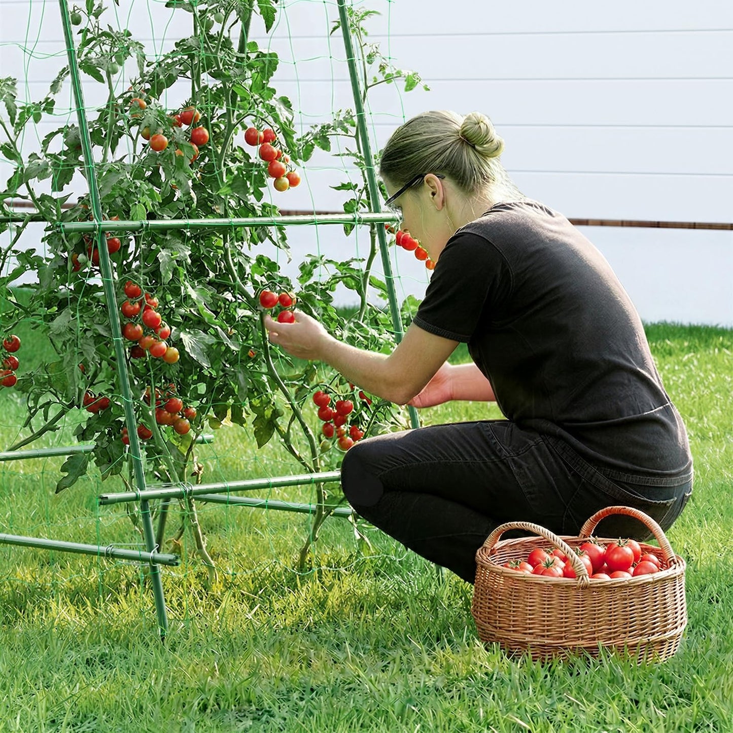 HIRALIY A Frame Cucumber Trellis for Climbing Plants Outdoor, 57" x 31" Heavy Duty Metal Garden Trellis, Rustproof Plant Support for Tomato, Grape, Bean, Raised Bed and Vegetable Gardens, Green