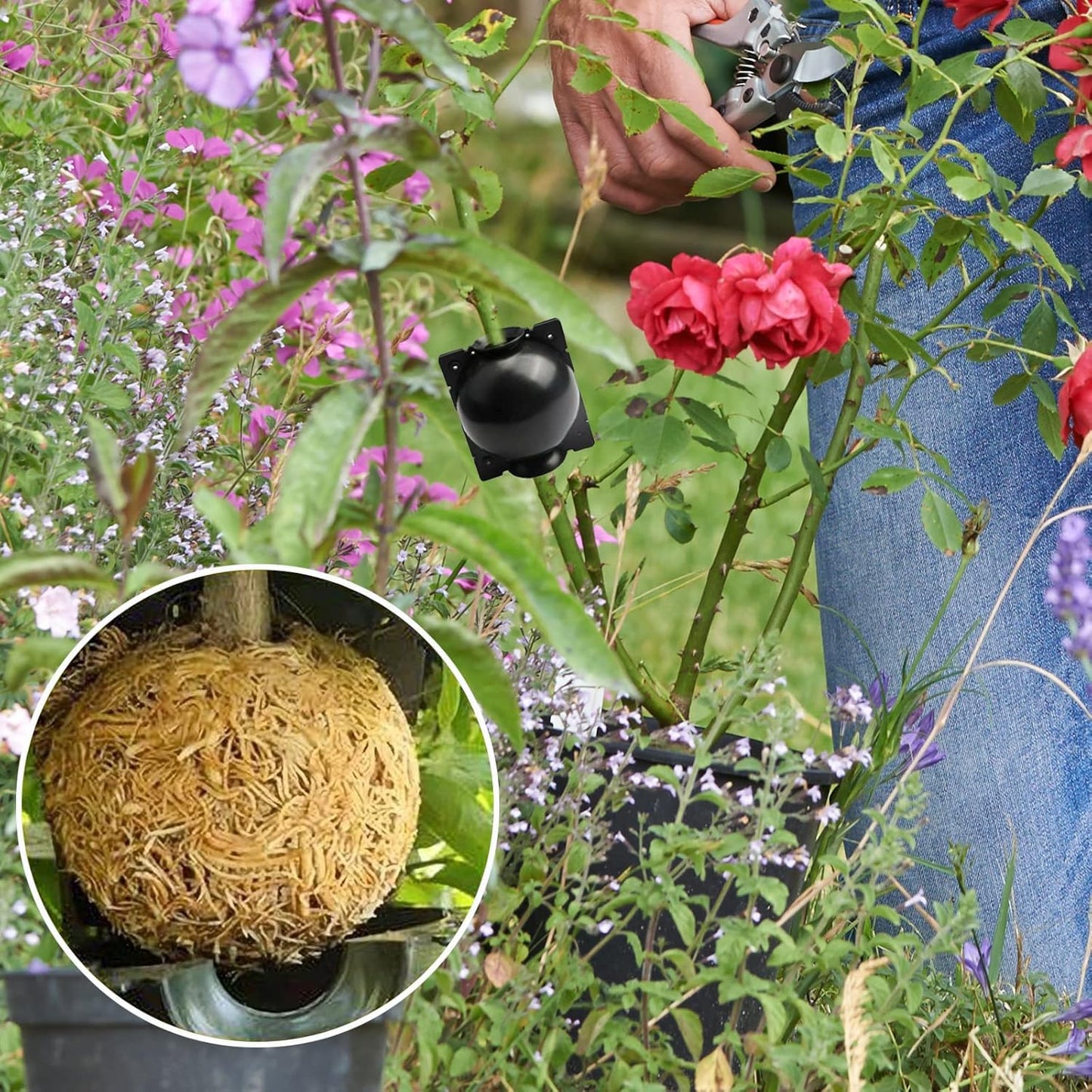 20PCS Propagation Stations Air Layering Pods, Reusable Rapid Root Plugs Air Layering Propagation Kit Grafting Tool Take Root Box Plant Propagation Ball Root Starter for Plant Cuttings Tree