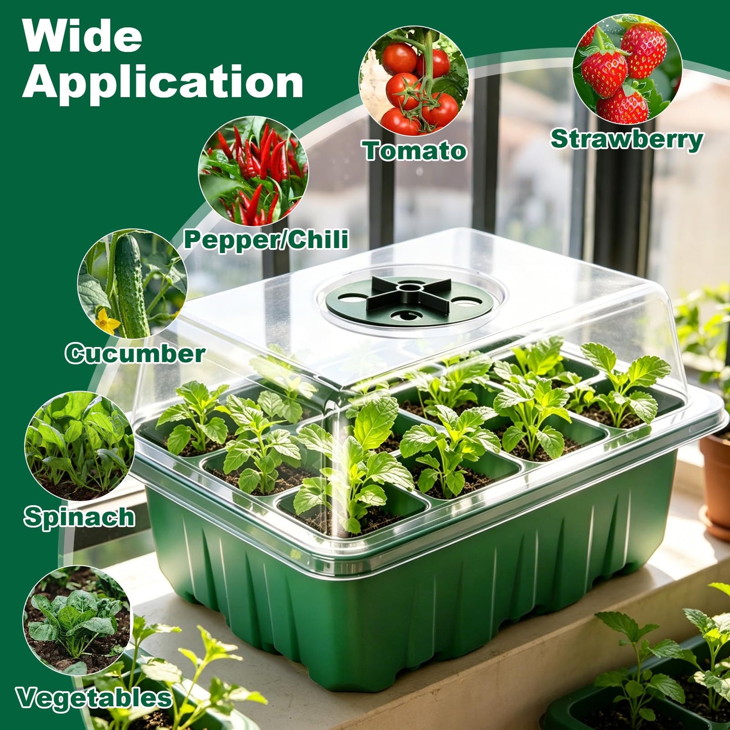 Yalumo Seed Starter Tray Kit, 12 Pack 144 Cells with Humidity Dome, Reusable Seedling Trays with Drainage Holes, Plant Germination Kit with Labels & Tools for Mini Greenhouse Propagator Indoor Garden