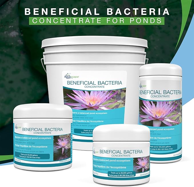 Aquascape Beneficial Bacteria Concentrate for Pond and Water Features, 1.1-Pound, 98949