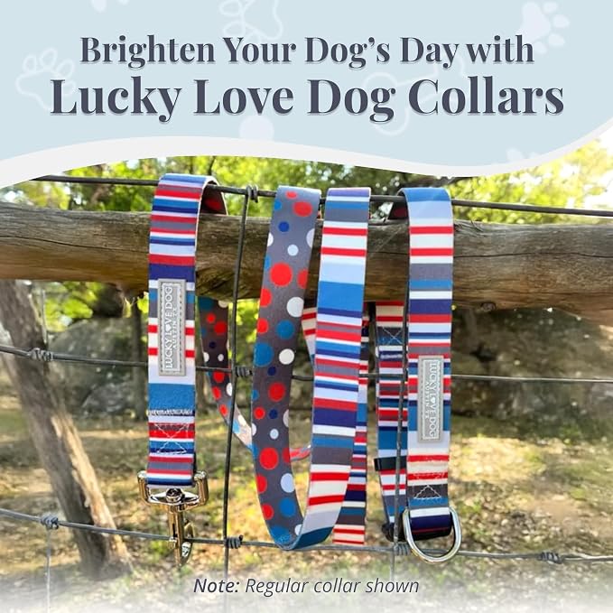 Lucky Love Dog - Adjustable Dog Collar with Easy Click Buckle for Medium, Durable, & Comfortable for Male & Female Dogs, Pet Collar for Puppies & Adult Dogs - Linus Martingale, Medium
