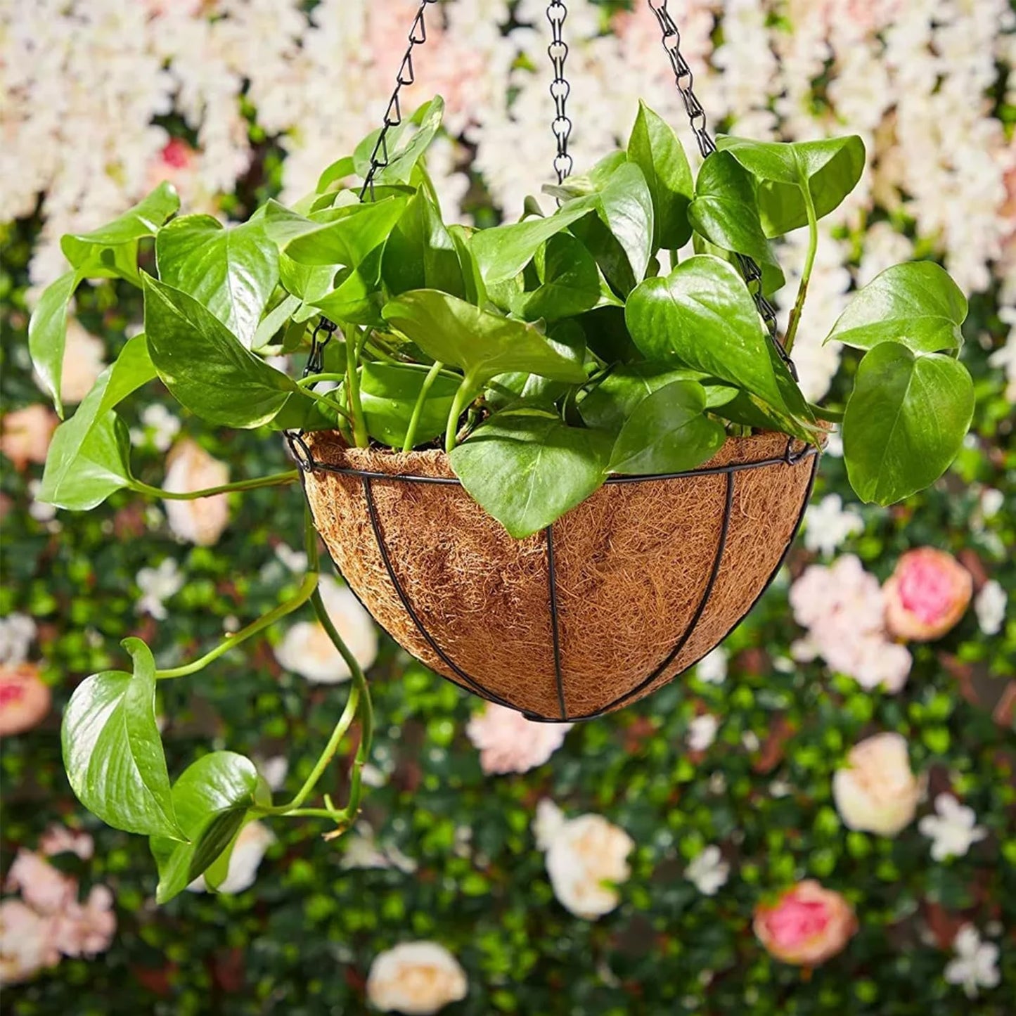 LCHUANG Hanging Baskets Planter for Plants - 4 Pack 14 Inch Metal Baskets with Coco Coir Liner, Hanging Flower Pots for Outside with Chain, Indoor Outdoor Garden Porch Decoration (14'' Pack of 4)