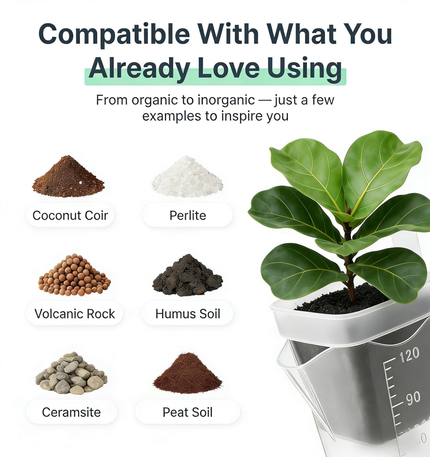 NUSQO Self Watering Pots for Indoor Plants, 12 Pack 2 Inch Mini Clear Plastic Planters with Water Level Indicator, Drainage Holes and Plant Labels for African Violet and Alocasia Corm Propagation