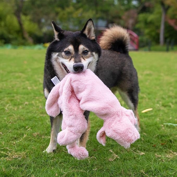 Best Pet Supplies Squeaky Dog Toys with Soft Durable Fabric for Small, Medium and Large Pets Interactive Toy for Indoor Play, Supports Active Biting and Play - Pig, Medium