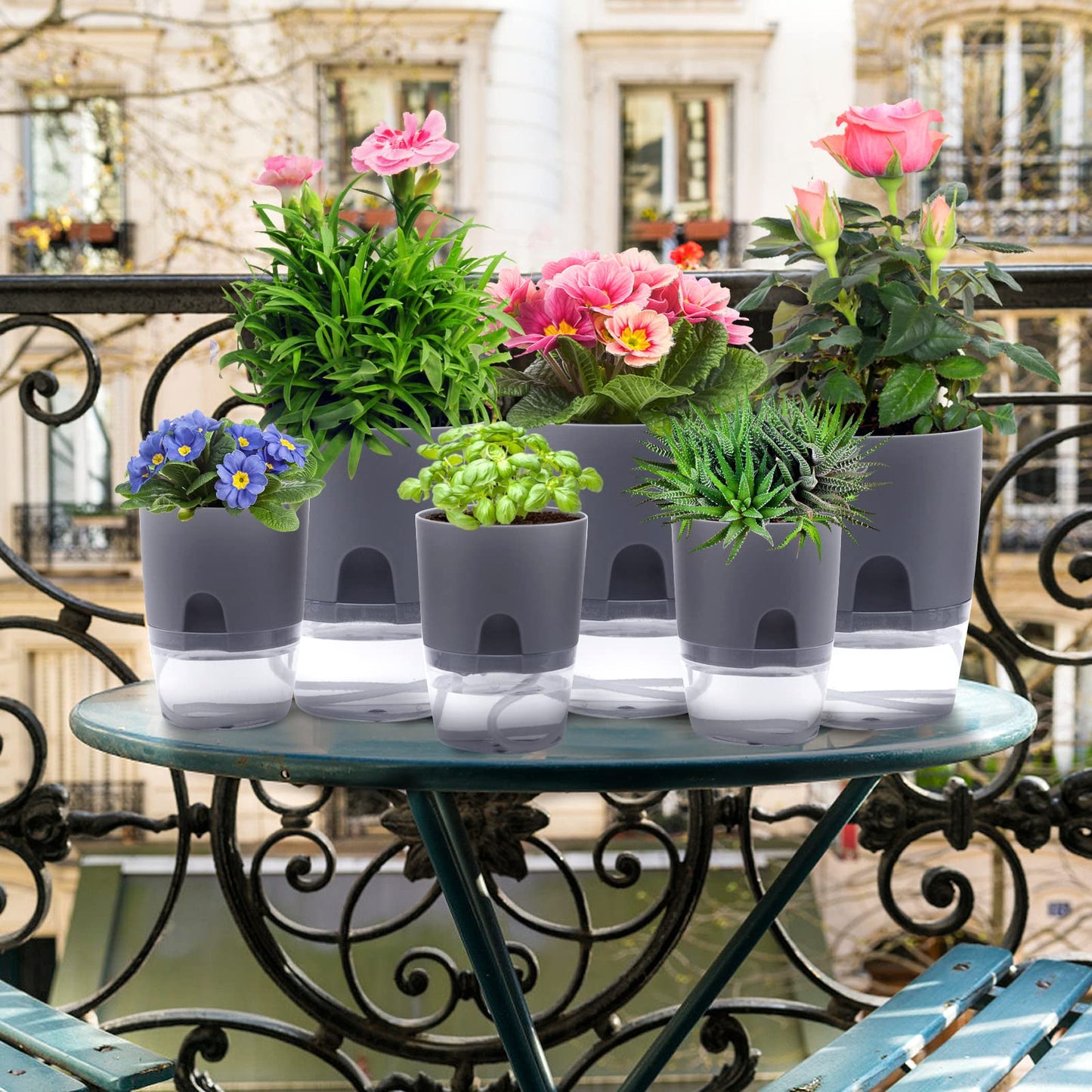 Aulock 6 pcs Self Watering Plant Pots - 4.1/3.2 in Plastic Planter with Drainage Holes, Flower Pots for African Violet, Mini Indoor Plants, Succulents, Herbs, Cactus, Basil, Grey