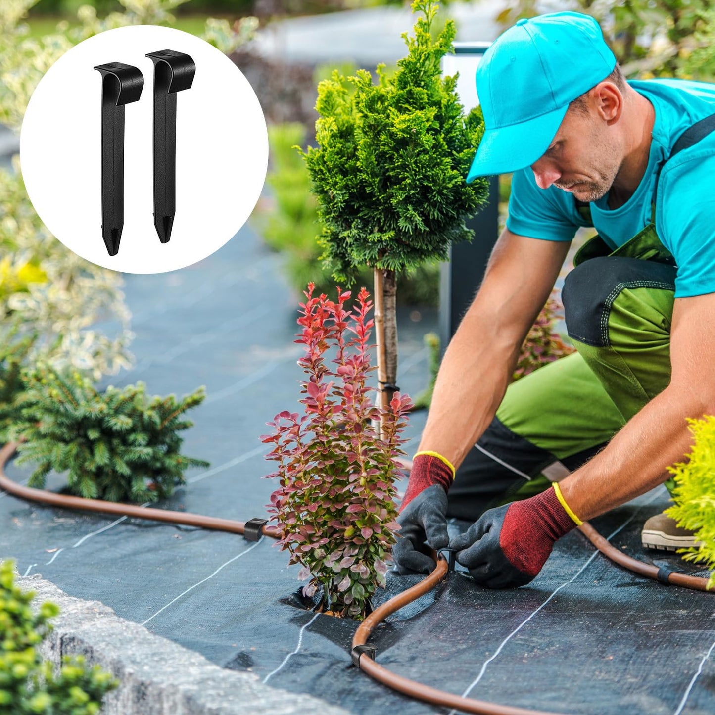 Pangda 100 Pack 1/2 Inch Irrigation Tubing Hold Down Anchor Stakes, 3/4 x 4.33 Inch Drip Tubing, Anchor for Sprinkler Garden Landscaping