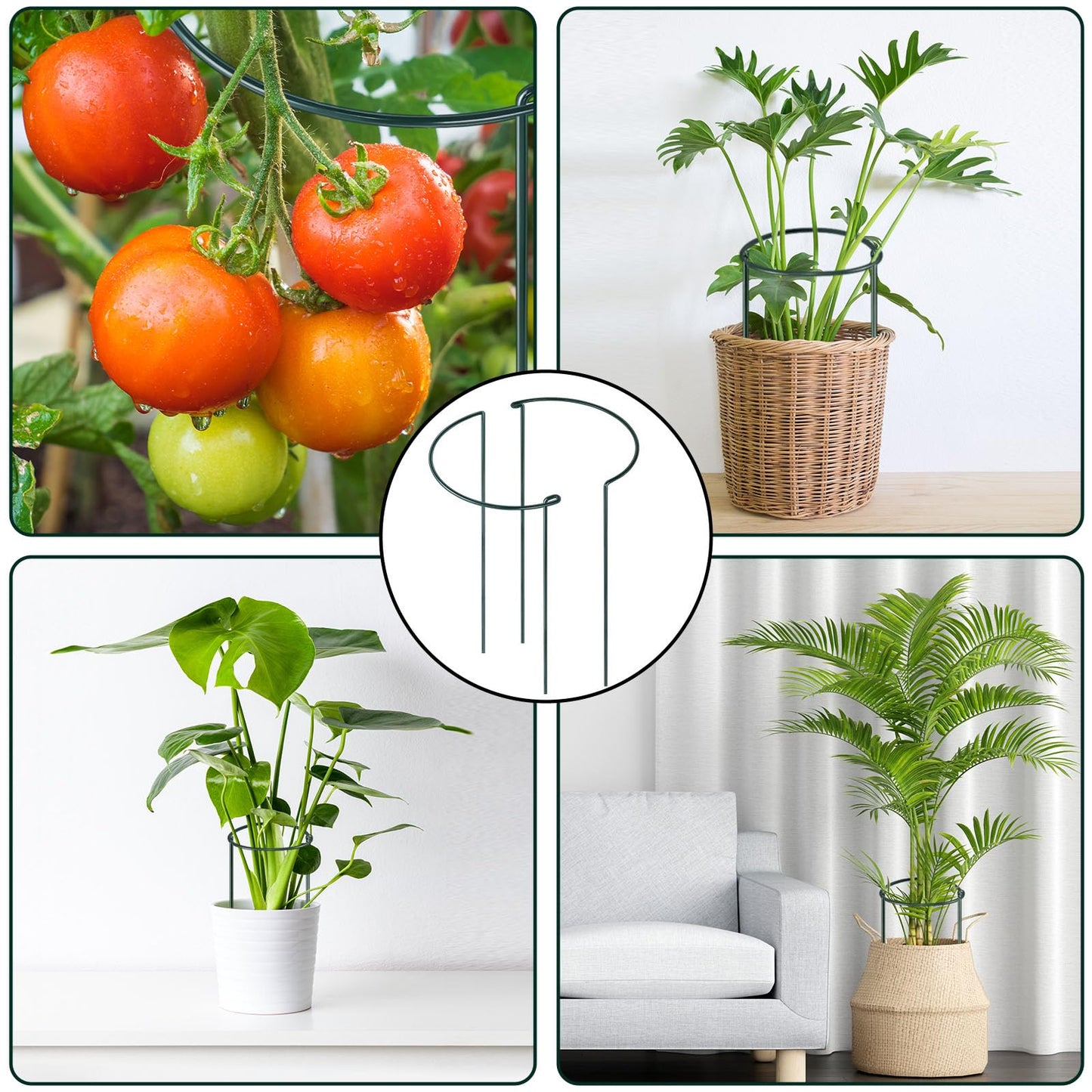 12 Pack Plant Support Stakes, Peony Cages and Supports Large 10" Wide x 24" High Tall Peony Ring Supports, Garden Plant Stakes for Outdoor Plants Rose, Tomato, Hydrangea, Flowers