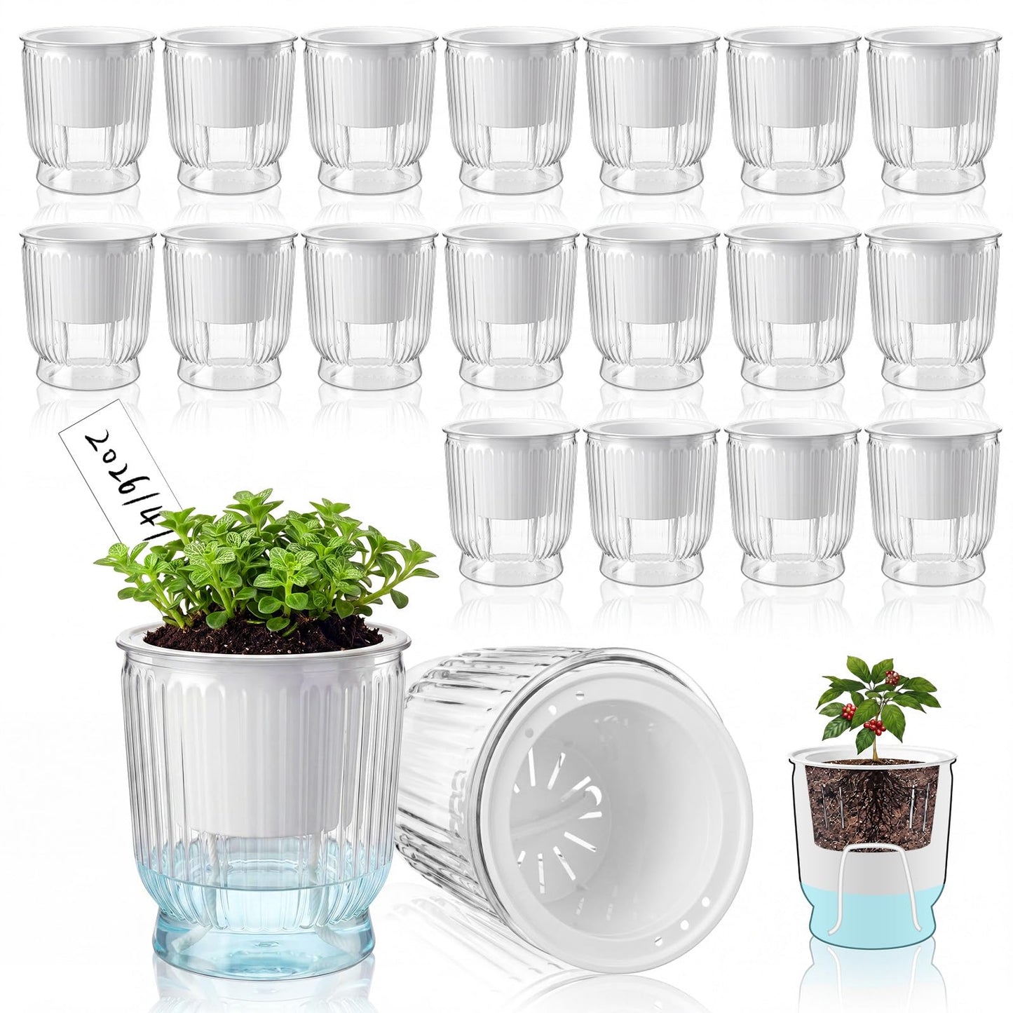 Ferrochef 20 Sets 4 Inch Self Watering Pots Bulk Small Plant Pots with Inner Reservoir, Clear Self Watering Wick Planter Plastic Plant Labels for Indoor Succulents Herbs Flowers Pothos
