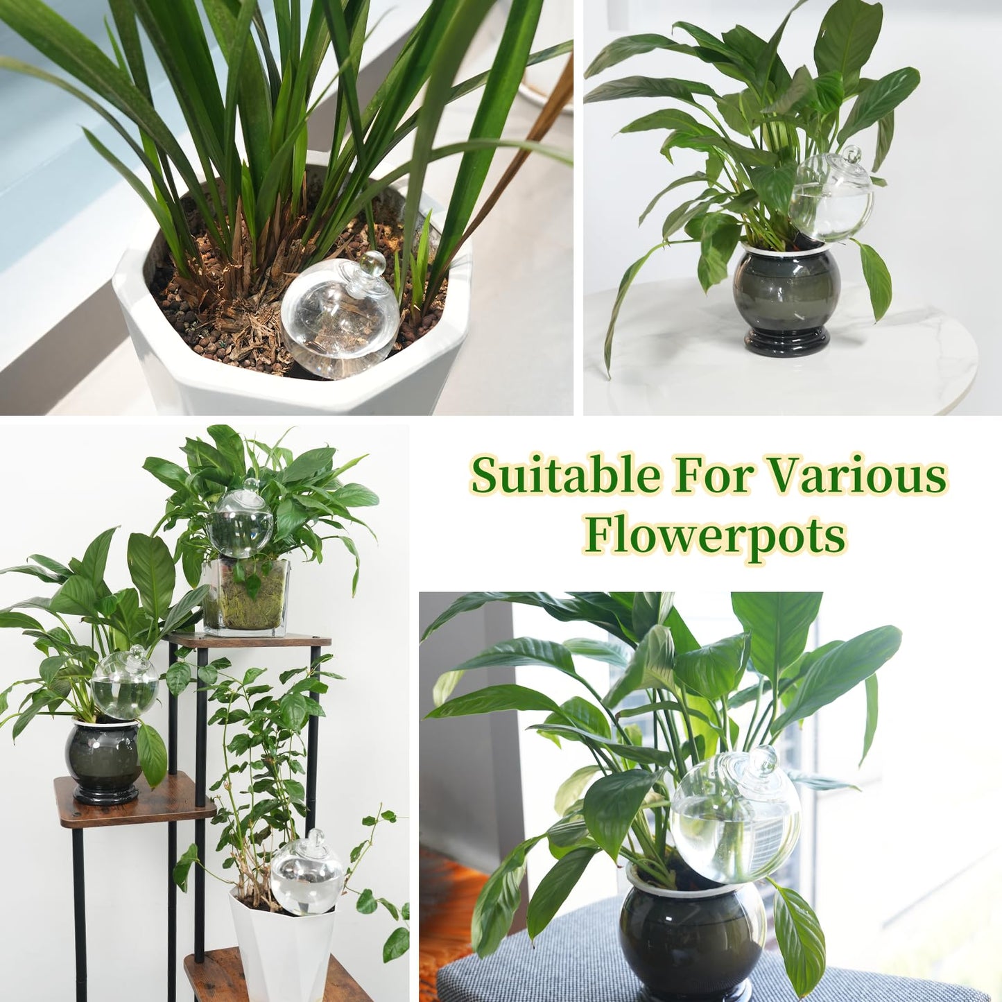 6pcs Plant Self Watering Globes with Covers, Plastic Water Bulbs Top Fill, Plant Watering Devices System Slow Release Terracotta, Water Spikes Stakes for Indoor (6)