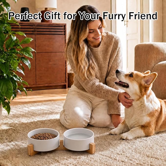 MateeyLife Ceramic Dog and Cat Bowls with Stand, 2-Pack Food and Water Bowl Set - Non-Slip Pet Bowls for Cats,Puppies and Small Dogs, 13.5OZ(White)