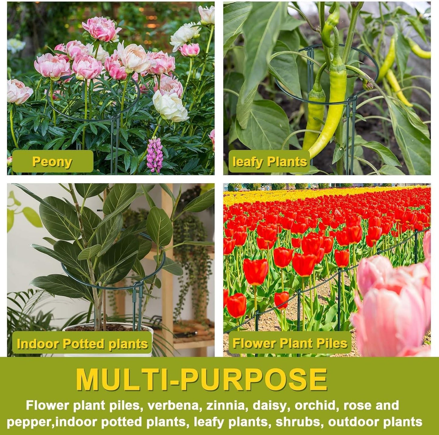 HiGift 4 Pack Height Adjustable Metal Plant Support (36" H or 24" H or 12" H), Heavy Duty Peony Cages and Supports, Half Round Tall Plant Support Ring for Outdoor Indoor Plant Hydrangea Flower