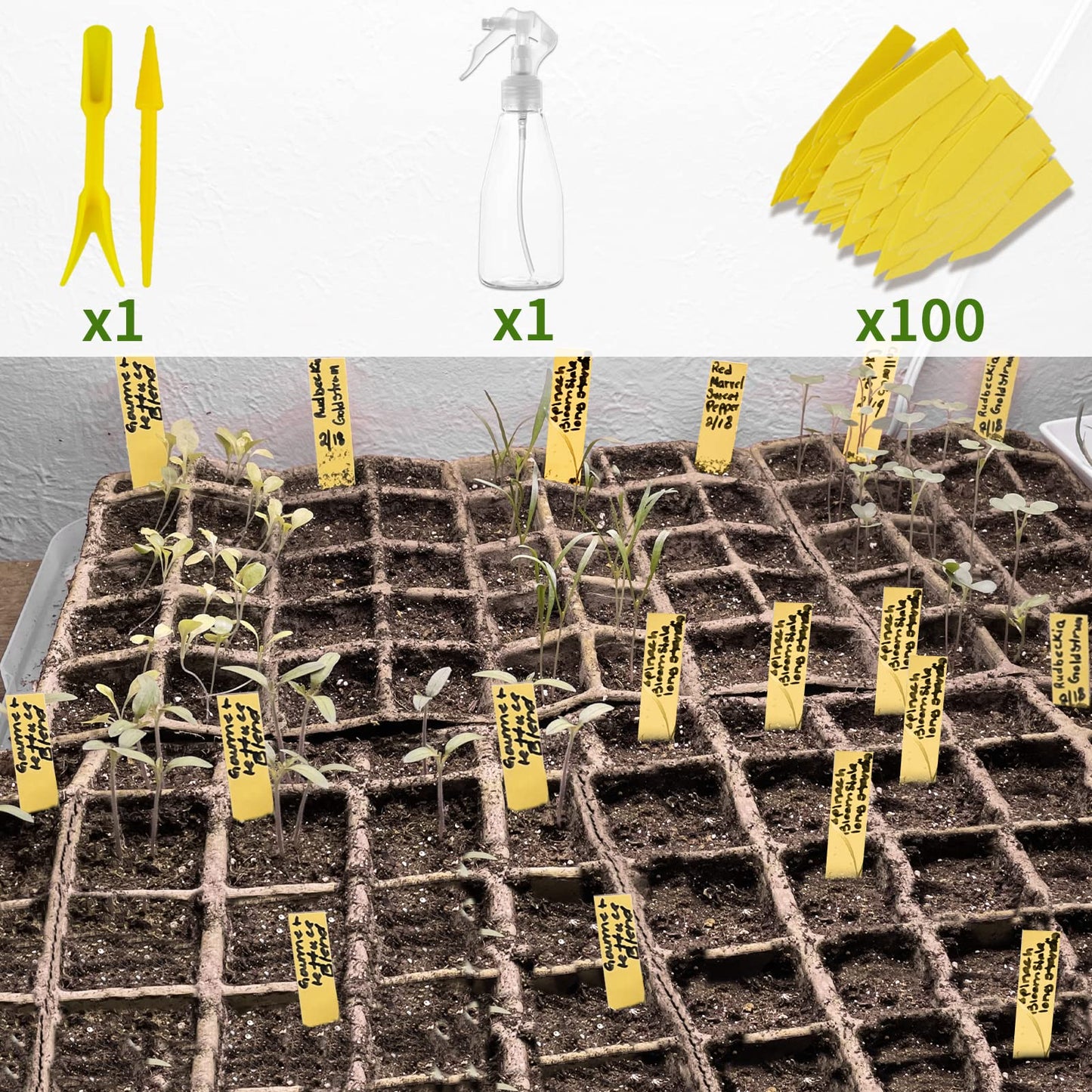 SYITCUN 160 Cells Seedling Starter Trays,10 Pack Starter Trays for Planting Seeds,Biodegradable Seed Starter Peat Pots,Bonus 100 Plant Labels,2 Transplanting Tools,1 Spray Bottle