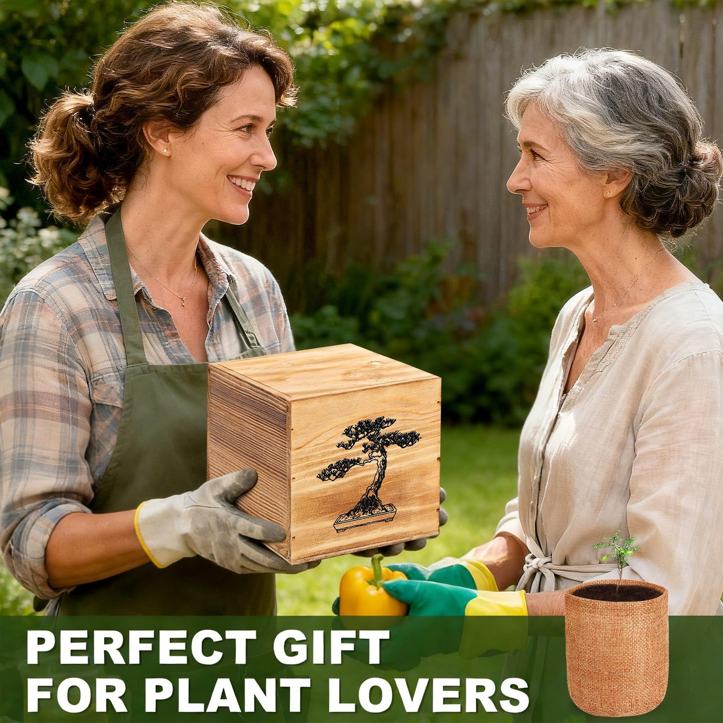 4 Pack Bonsai Tree Kit - 4 Seeds Growing Plant Bonsai Tree Live Kit for Beginners, Easy to Grow Complete Indoor Garden Starter Kits with Wooden Box & Tools, Christmas Gifts for Men Women Plant Lover