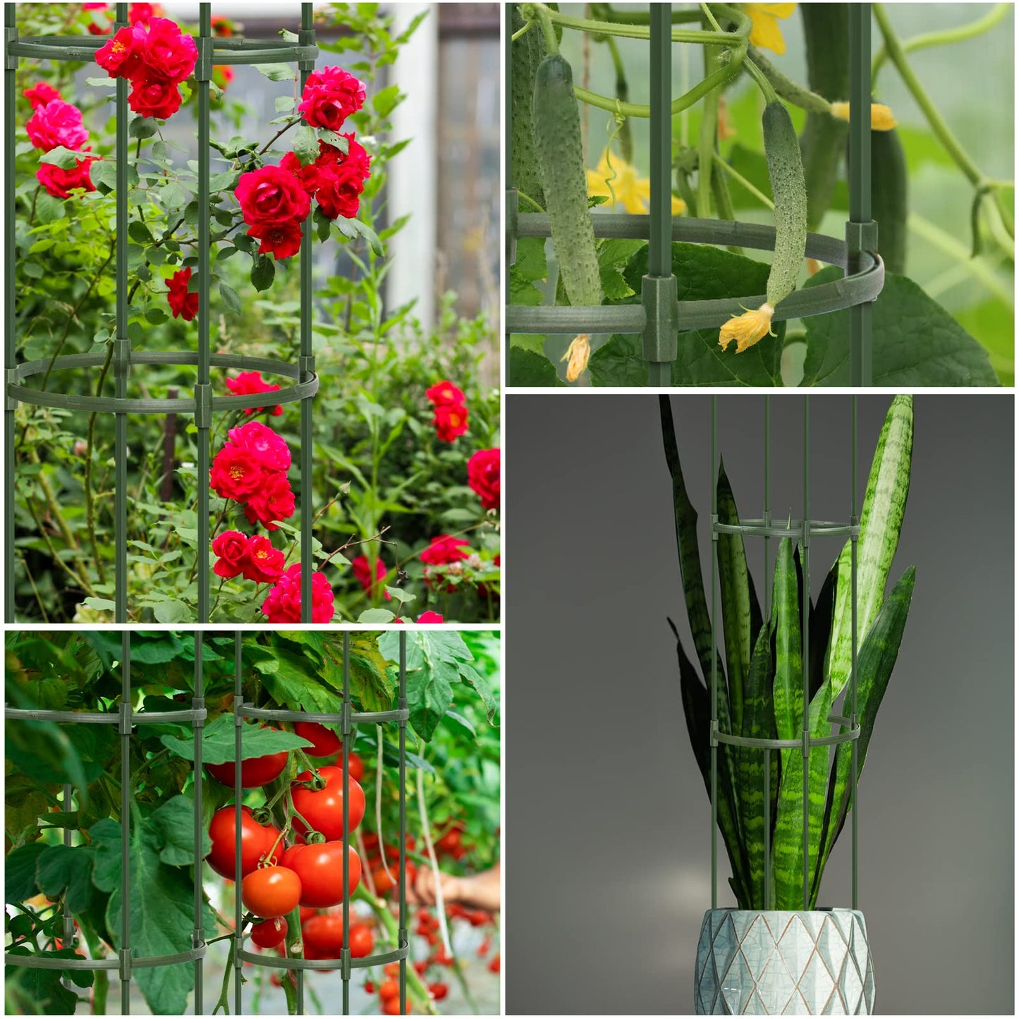 Round Heavy Duty Tomato Cage - 55 Inch Steel Core Plastic Coated Garden Trellis, 4-Post Rustproof Plant Support for Tomato/Cucumber/Beans, No Tools Snap Assembly, Spare Parts Available