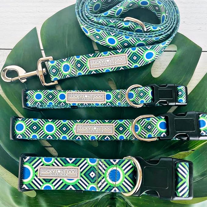 Lucky Love Dog - Easy Click Buckle Dog Collar with Leash Set Combo, Durable & Comfortable for Male & Female Dogs, Pet Collar for Large Dogs, Secure Fit - Leo Combo, Large