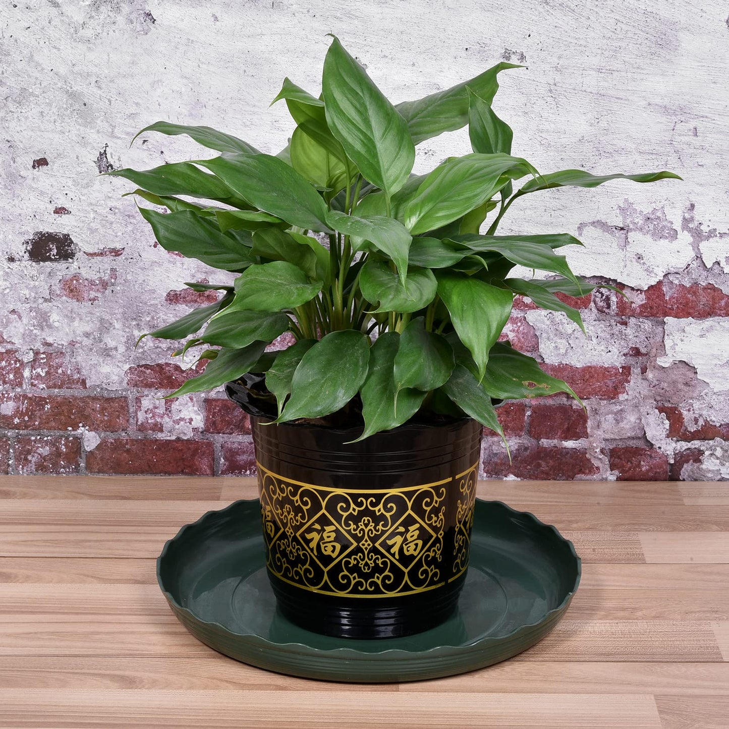 MECCANIXITY Plant Pot Saucer 14" Plastic Waved Round Flower Drip Tray for Indoor Outdoor, Green Pack of 6