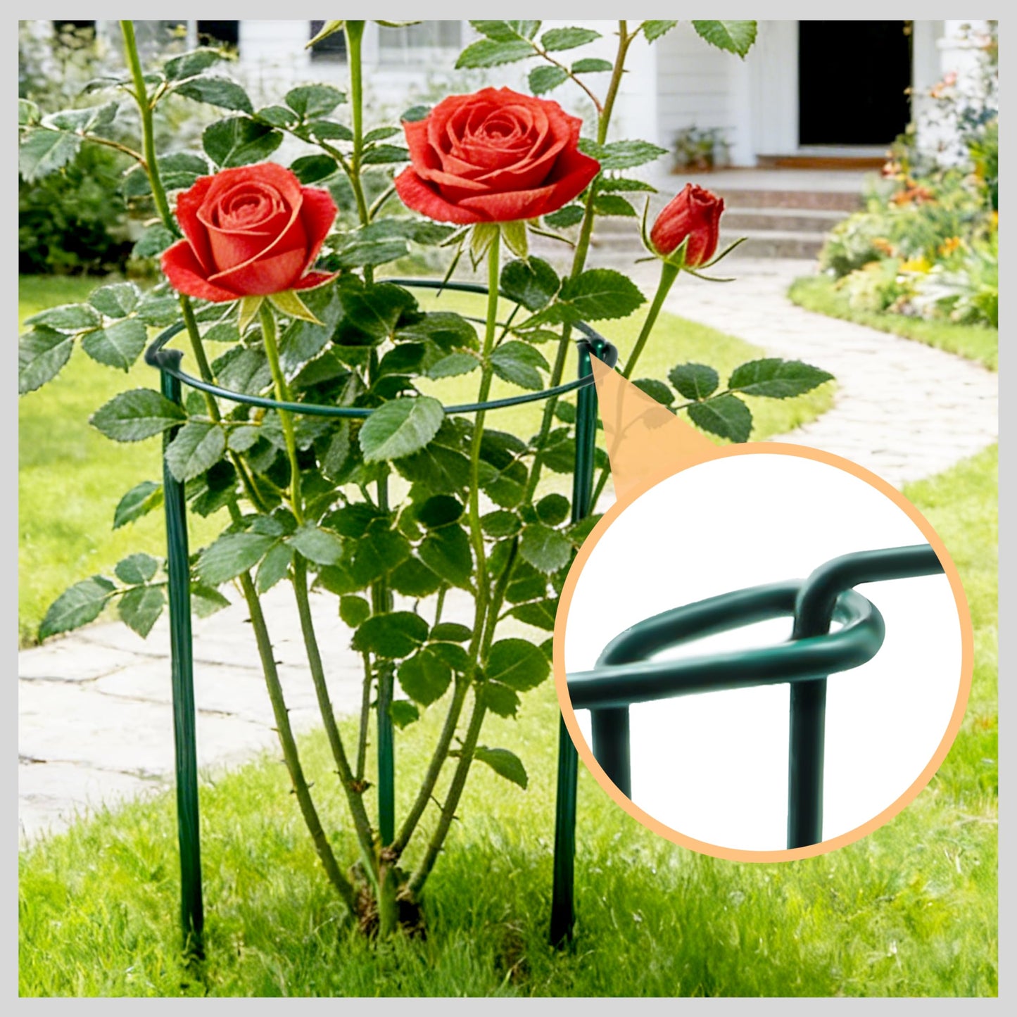 TCBWFY 4-Pack Plant Supports,16" Wx46 H Half Round Plant Support Stakes,6mm Thick Heavy-Duty Metal Peony Cage,Tall Garden Plant Support for Peony,Tomato,Hydrangea,Rose,Outdoor Flower Plant Stakes