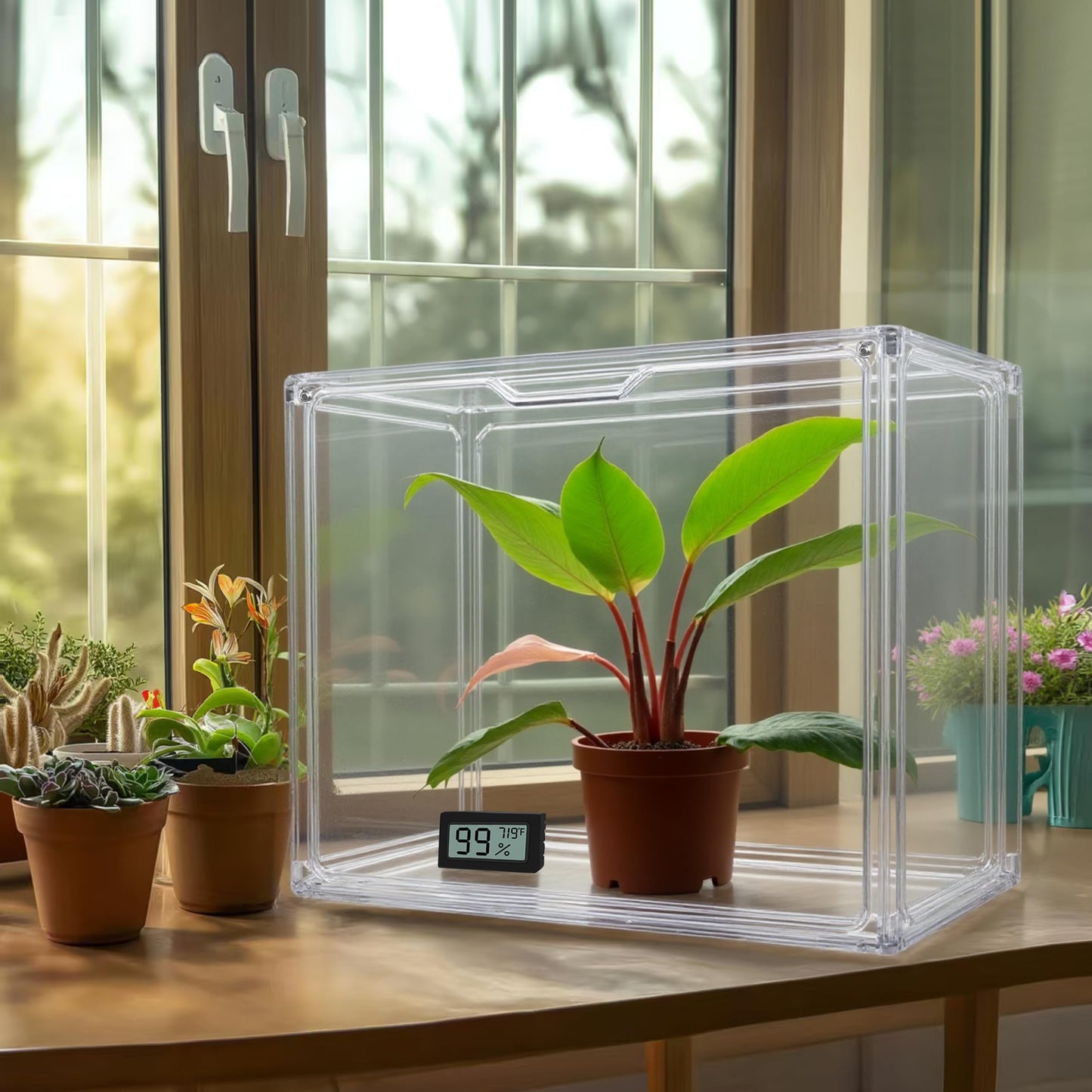 HBlife Mini Greenhouse for Indoor, Clear Stackable Green House with Magnetic Waterproof Door for Small Plants Nursery Germination and Display, Tabletop Portable Greenhouse, 14.1x8.6x10.6 Inch (1 Pack)