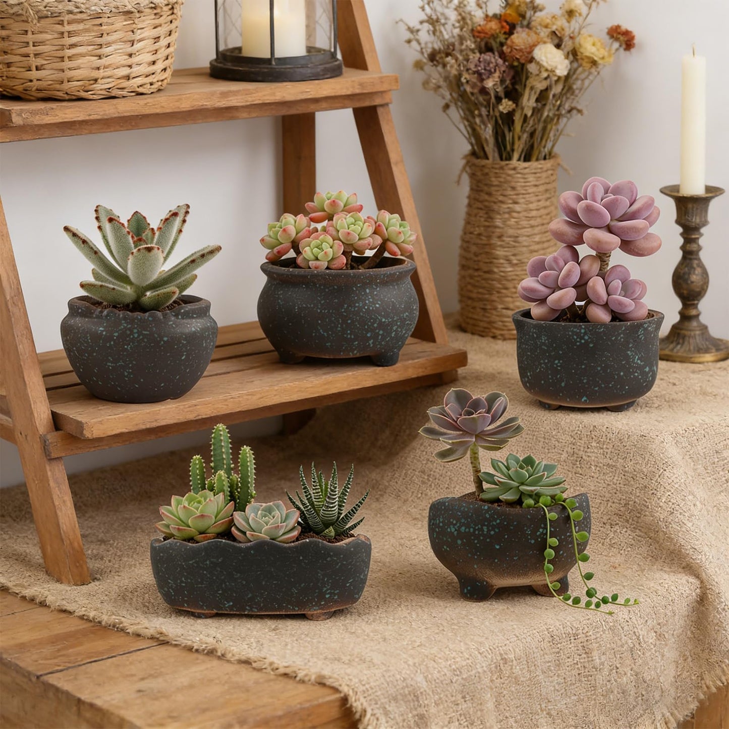 ginojex Retro Ceramic Succulent Garden Pots Small Plant Planter Container with Drainage Set of 5 for Home Office Decor