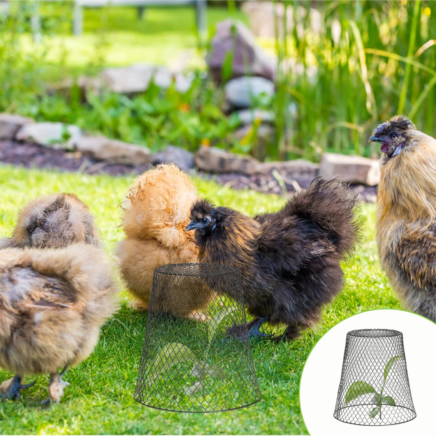 24 Pcs Chicken Wire Cloche Plant Protector Cover Plant Protector from Animals Metal Garden Protections for Plants, Shrubs and Vegetables with 48 Ground Stakes (24)