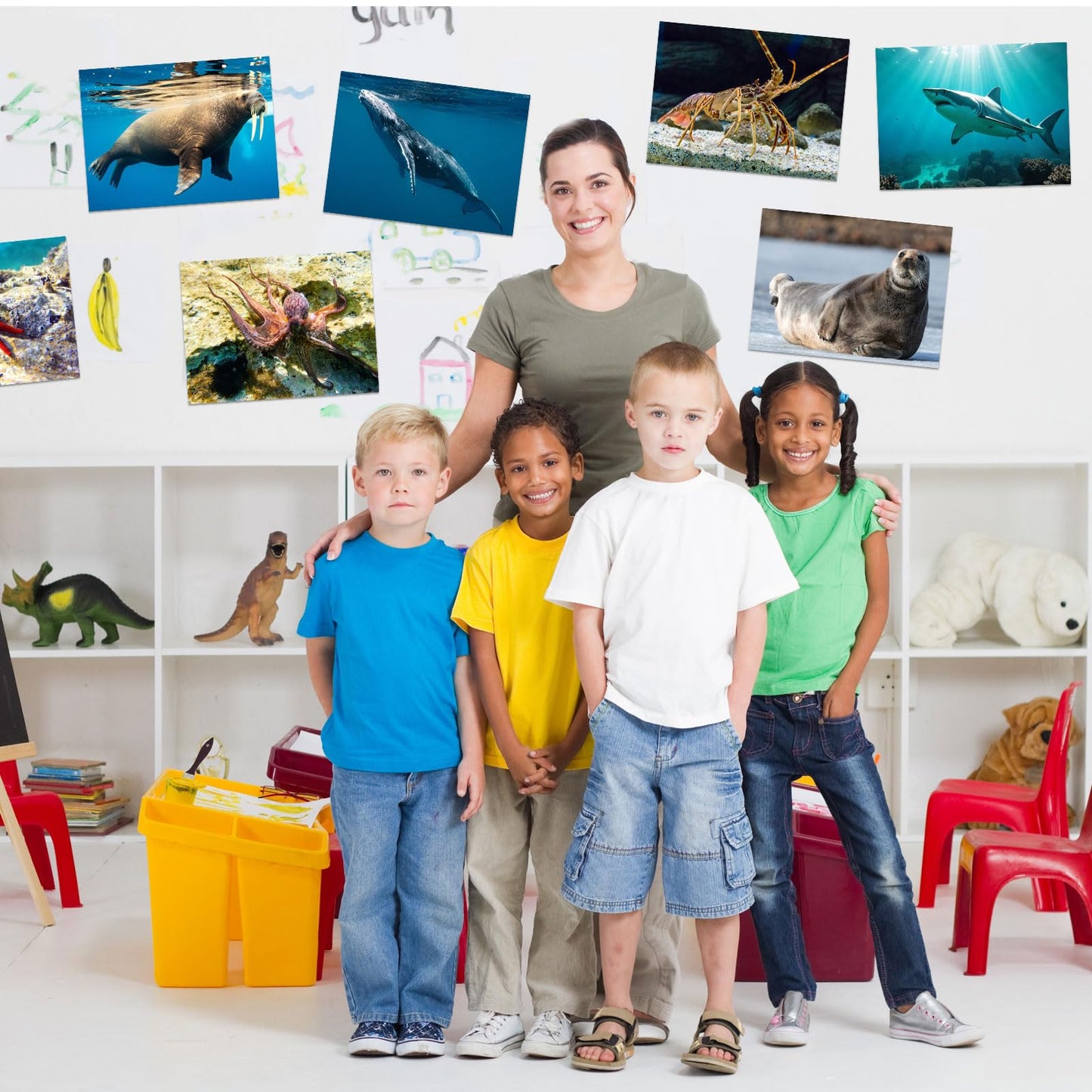 Motiskyy 12 Pcs Diversity Posters for Classroom Preschool Educational Learning Real Pictures for Daycare Home Multicultural Awareness(Ocean Animals)