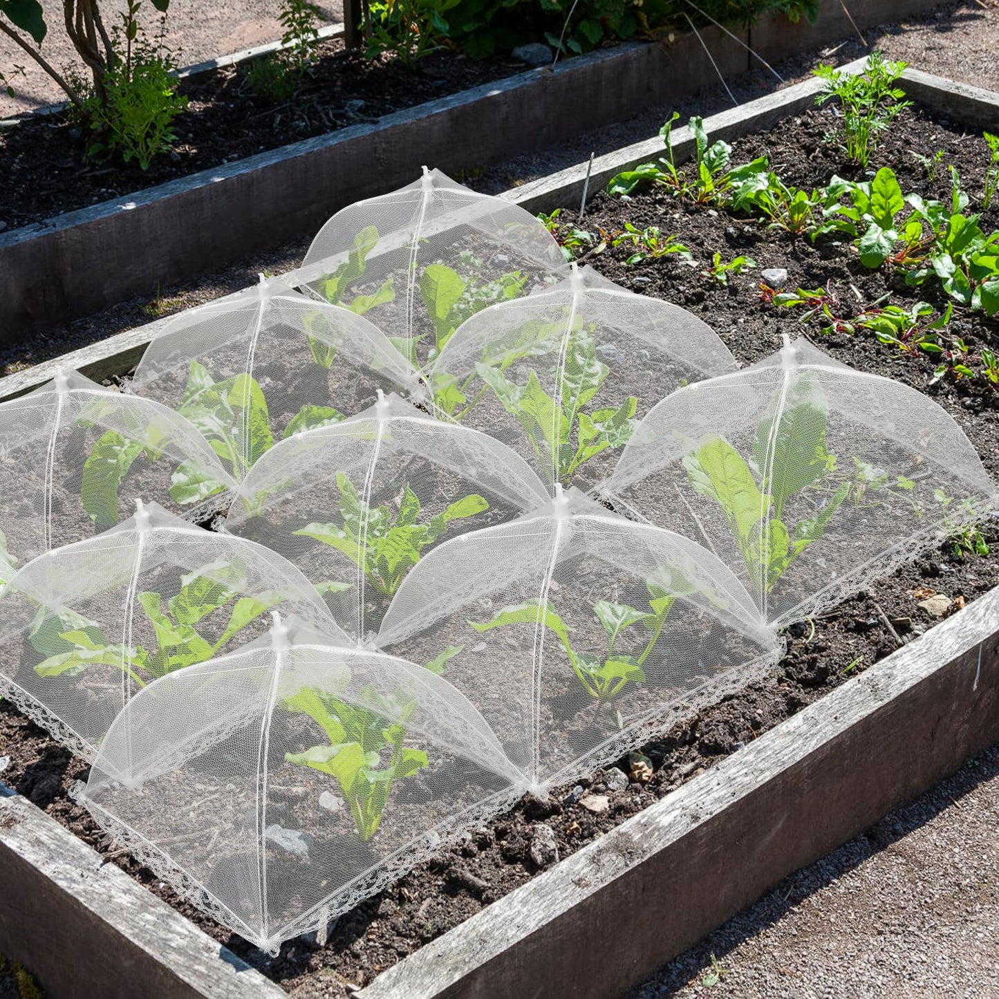 6 Sets Strawberry Plant Supports with Mesh Plant Cover,Strawberry Growing Racks with Metal Plant Nails and Storage bag for Strawberry Vegetables,Used to protect strawberries and keep them clean