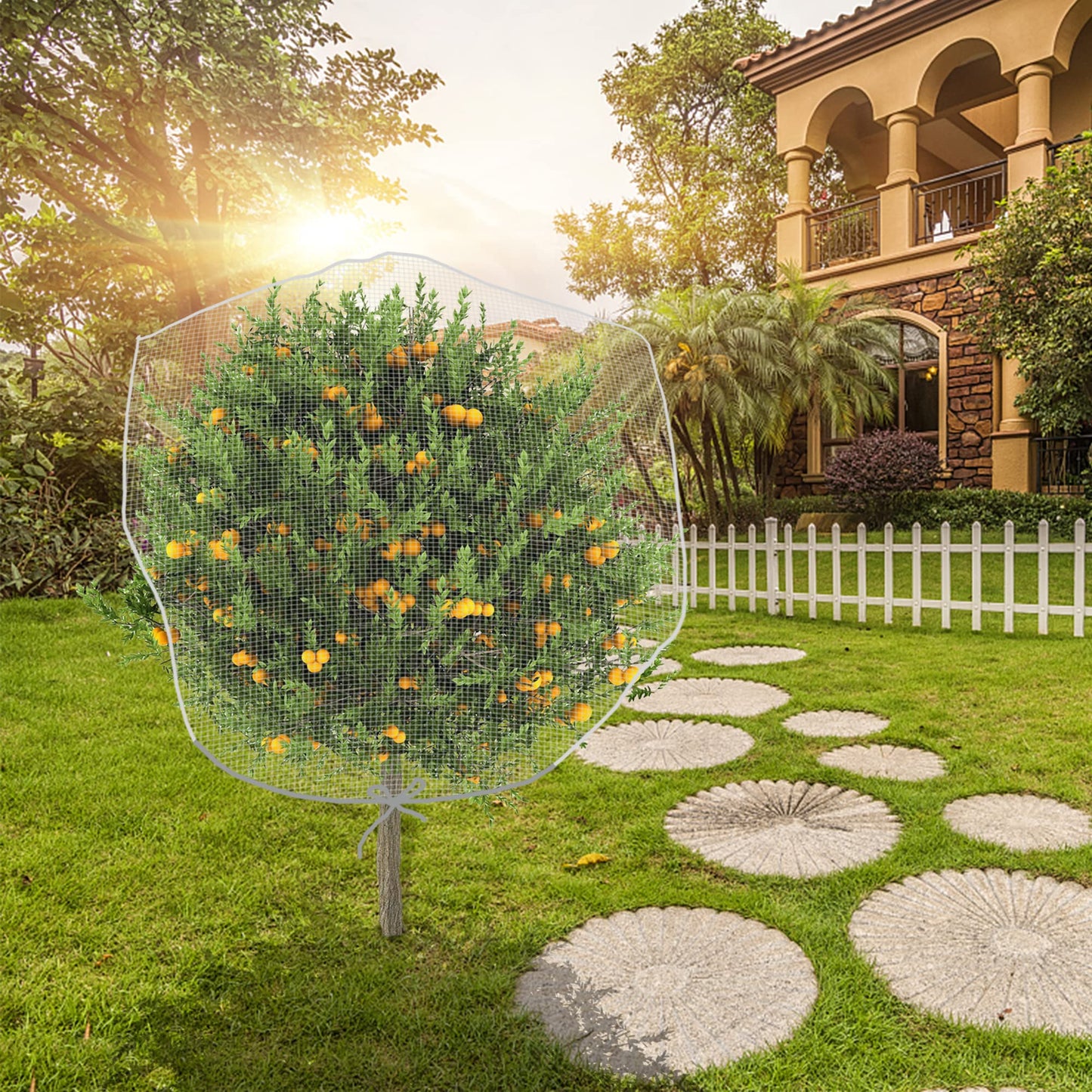 Alpurple 2Pcs 4.6 x 3.9 Ft Garden Plant Netting Mesh Barrier Bags- Fruit Tree Net with Drawstring- Tomato Plant Protective Netting Cover for Protect Plant Fruits Citrus Flower from Insect Bird Eating
