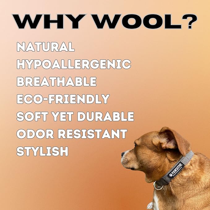Pawsitive Wool Dog Collar - Hypoallergenic Dog Collar, Great Dog Collar for Sensitive Skin, Soft Collar for Dogs, Soft Organic Dog Collar Eco-Friendly (Medium, Blue & Leash)