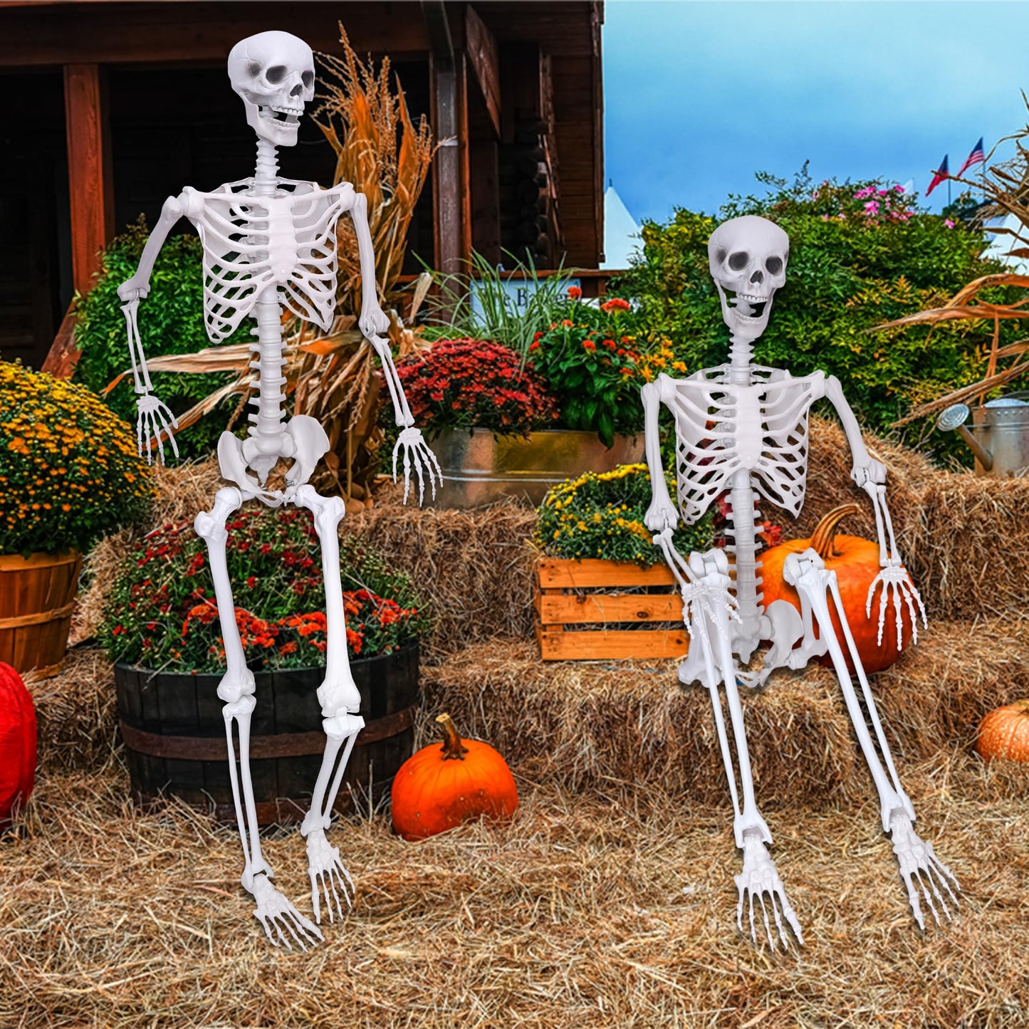 5.9Ft Halloween Skeleton Posable Skeleton Life Size Skeleton Plastic Full Body Human Skeleton for Halloween Decorations