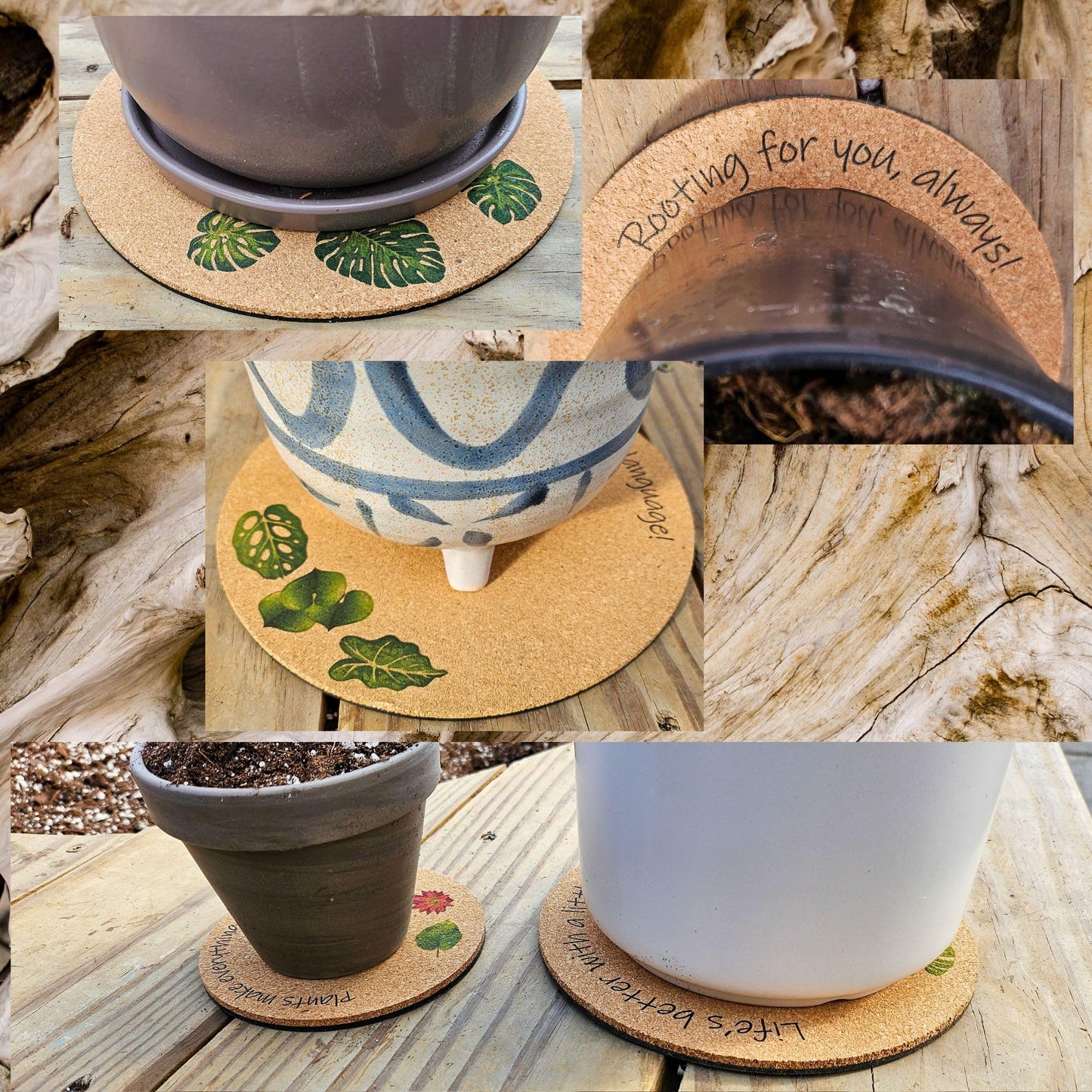 Plant Coaster Set of 6 – Cork & Plastic Coasters for Houseplants – 8", 6", & 4" Sizes – UV Printed with Cute Plant Sayings – Protects Surfaces from Moisture & Scratches