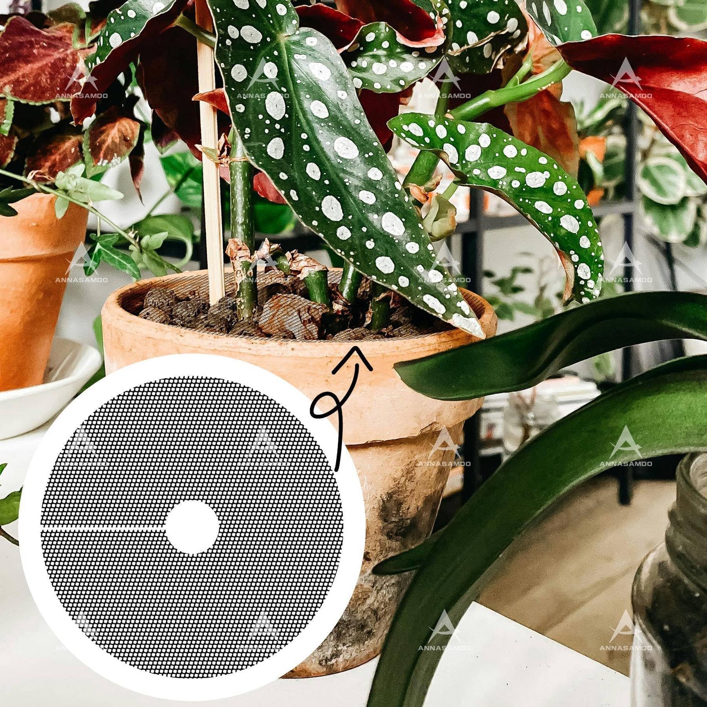 ANNASAMDO, 10 Pack Plant Pot Cover 1.8 Inch Plant Protectors from Animals Cuttable Round Pot Grid for Indoor Outdoor Plants