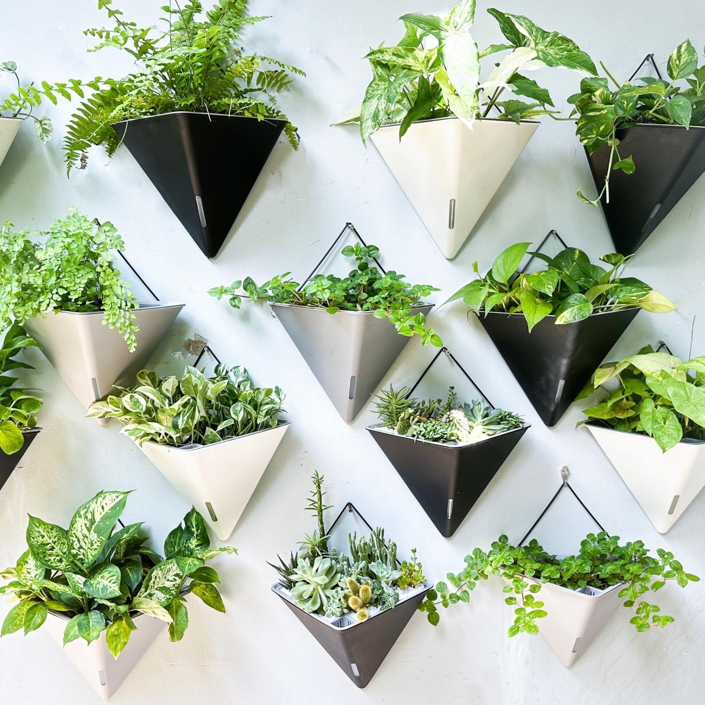 LaLaGreen Wall Planters for Indoor Plants - 4 Pack, 12 Inch Large Self Watering Black Geometric Hanging Flower Vase Vessel with Metal Hanger, Modern Stylish Wall Mounted Succulent Pot Holder Decor
