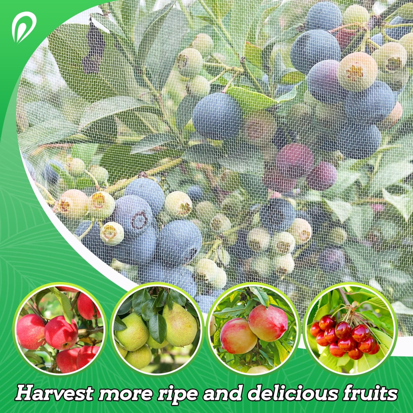 Easy Installation Fruit Tree Netting with Zipper & Drawstring - 6.2x6.2ft Ultra Fine Mesh Garden Protection Screen to Protect Pear Peach Apple from Bird Insect Bug Cicada Deer Squirrel