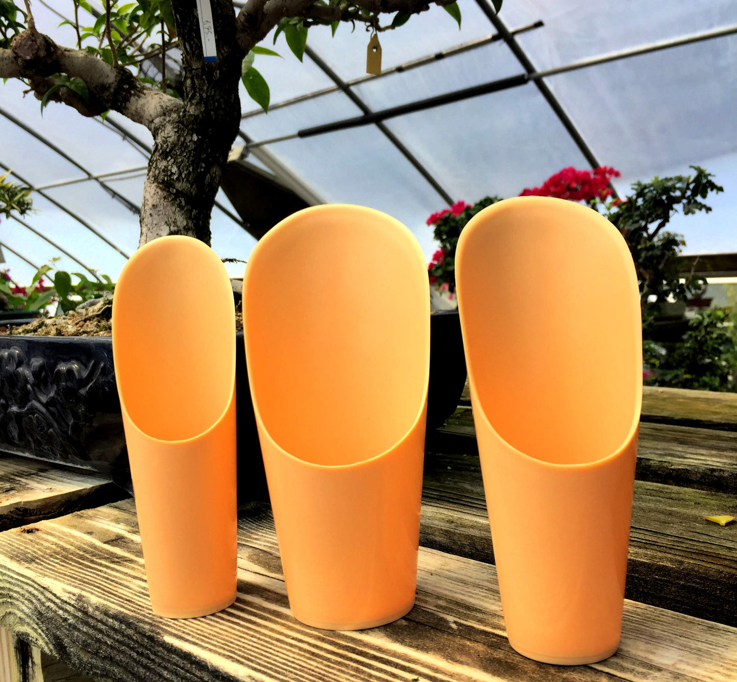 Plastic Soil Scoopers by Tinyroots - Set of 3 Soil Scoop Set, Used by Kaikou School of Bonsai Since 1987