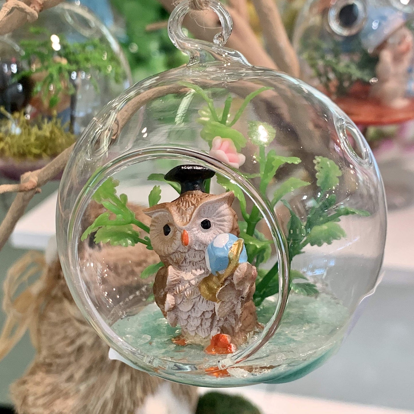WGV Hanging Terrarium Globe, Width 3", Height 4", DIY Air Succulent Planter, Clear Glass Vase Orb with Flat Bottom, Candle Holder for Windowsill Outdoor Garden Decor, 1 Piece