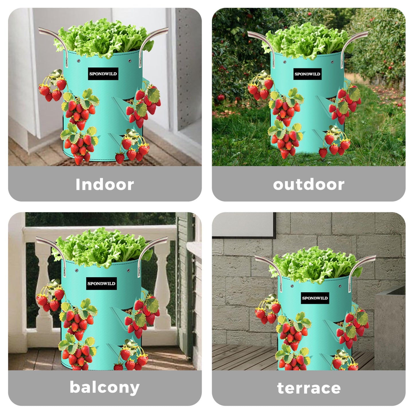 SPONDWILD 3 Pack 20 Gallon Strawberry Grow Bags, Heavy Duty Reusable PE Pots with Breathable Window, Branch & Drainage Holes, Reinforced Handles for Strawberries, Veggies, Flowers, Balcony/Patio Use