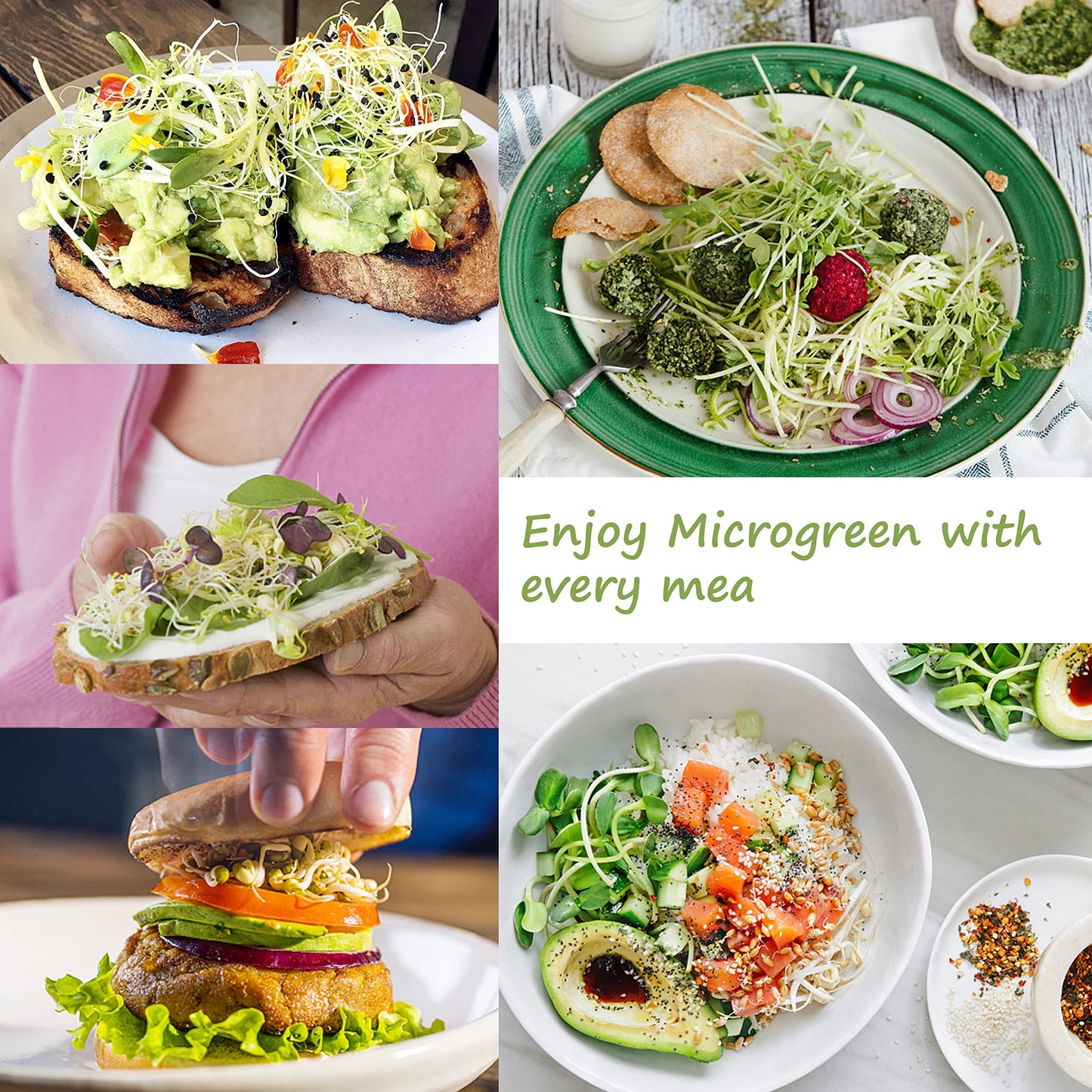 Microgreen Growing Trays, 5" x 5" Sprouting Tray with Humidity Dome, 1.2 mm Small Mesh Holes, BPA Free, Sprouter Kit for Growing Mirco Seeds, Like Broccoli, Alfalfa, Radish, Clover - 6 Pack | Colorful