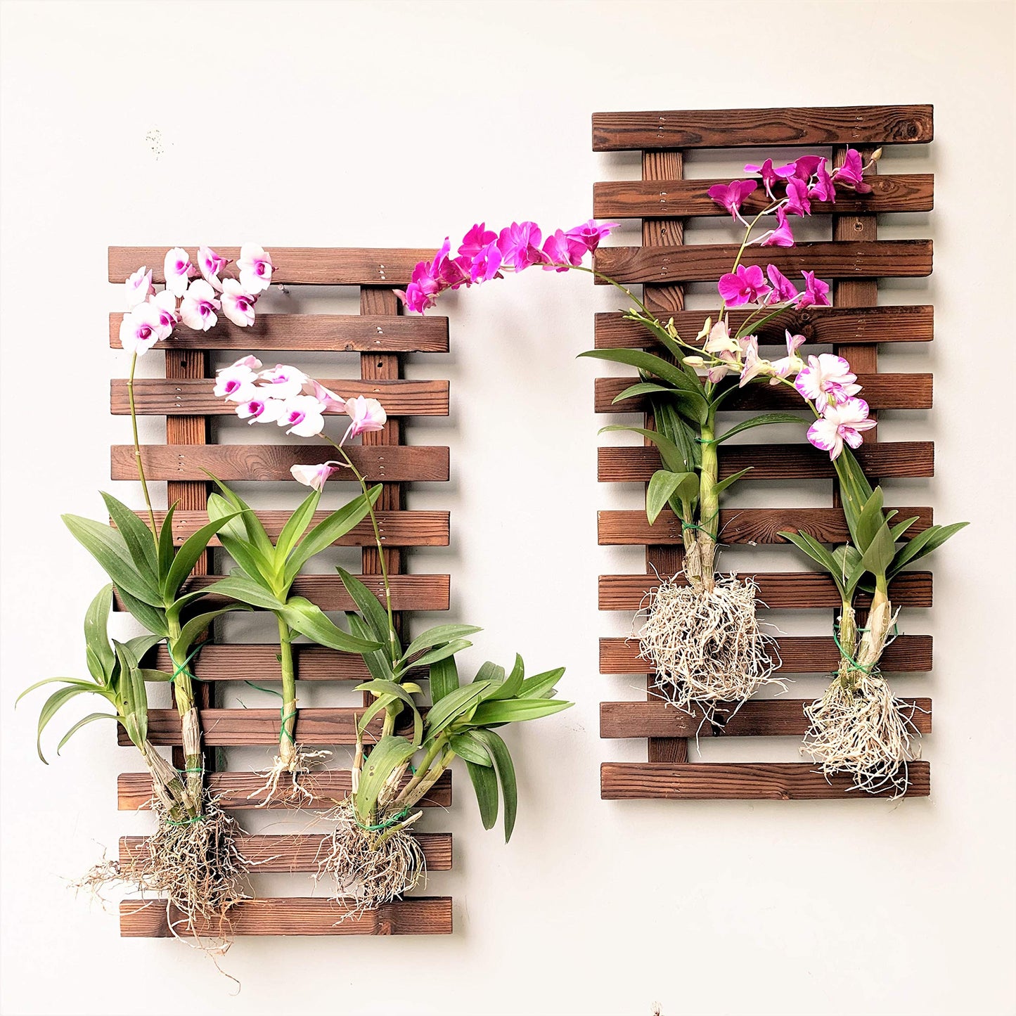 LalaGreen Bundle - 4 inch x 10 Pack Self Watering White Plastic Pot + 4 Pack Wooden Hanging Planters for Indoor Plants, Wall Mount Plant Stand Ladder, Outdoor Vertical Garden
